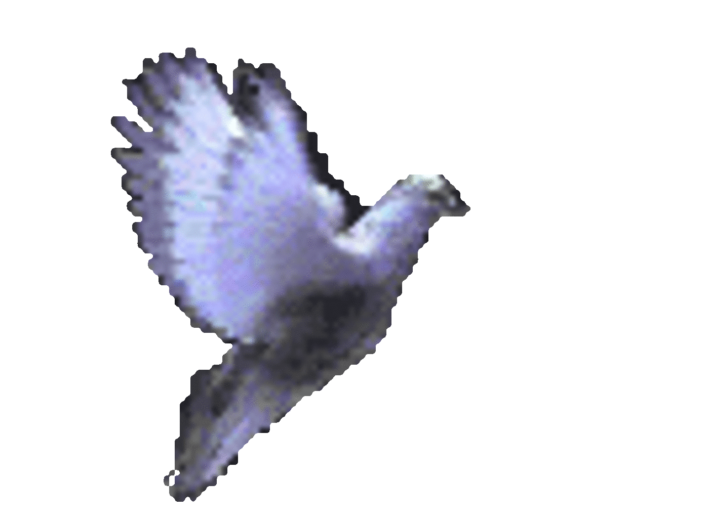 World Peace