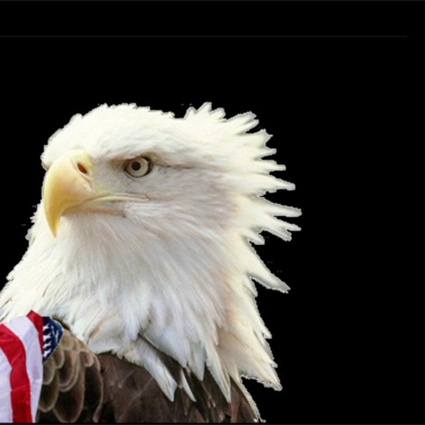 The Star Spangled Banner Country Style
