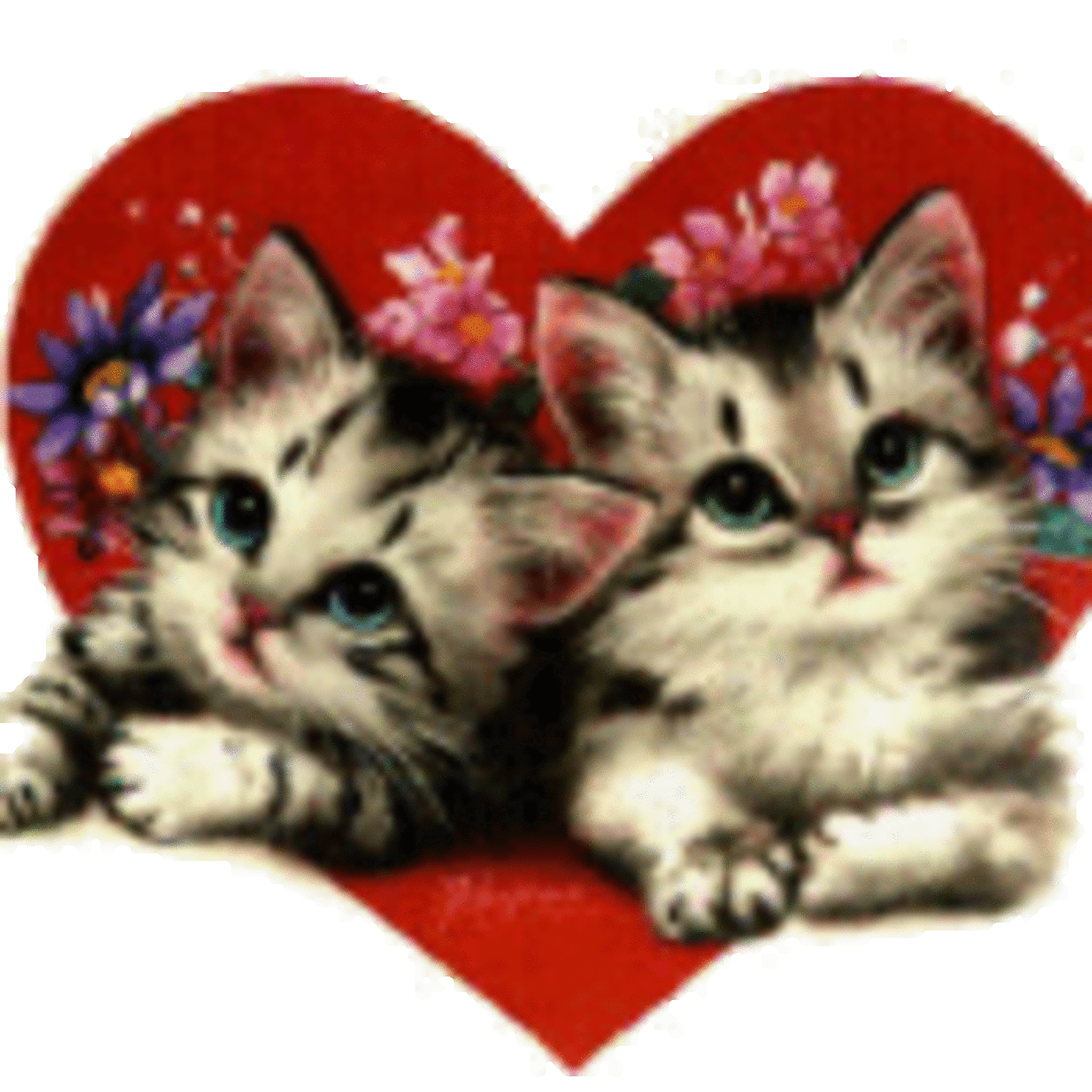 The Valentine Gifts I've Gotten From You (Accoustic)