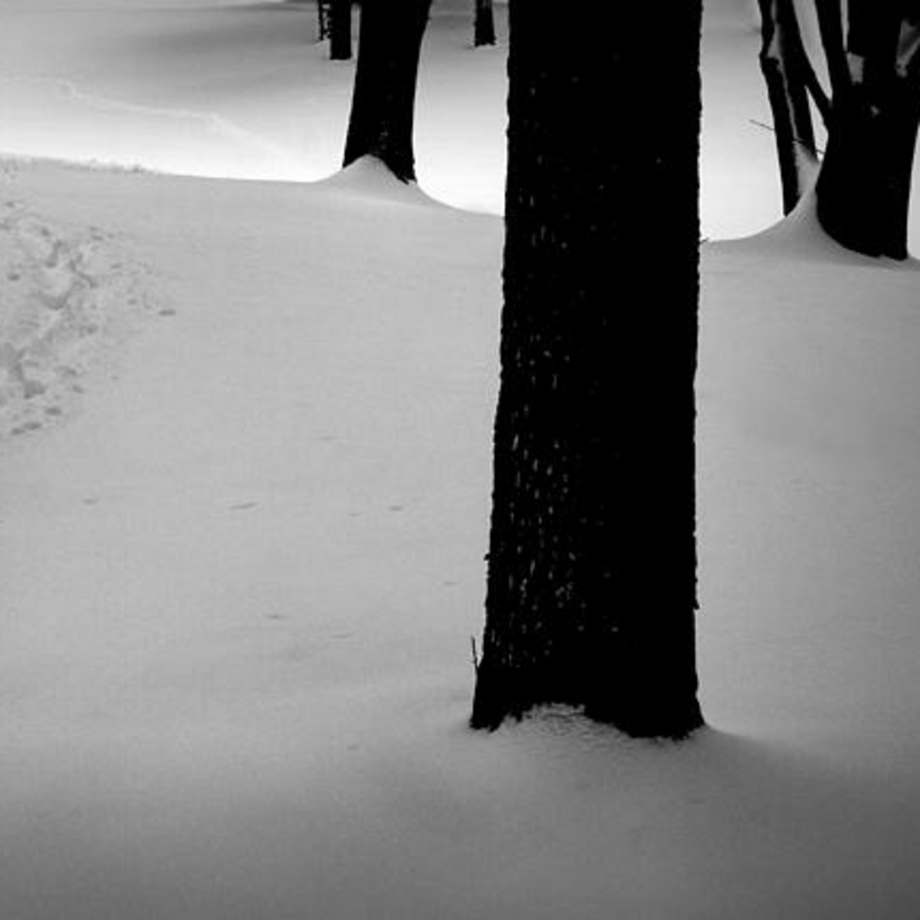 Footprints:The Christmas story