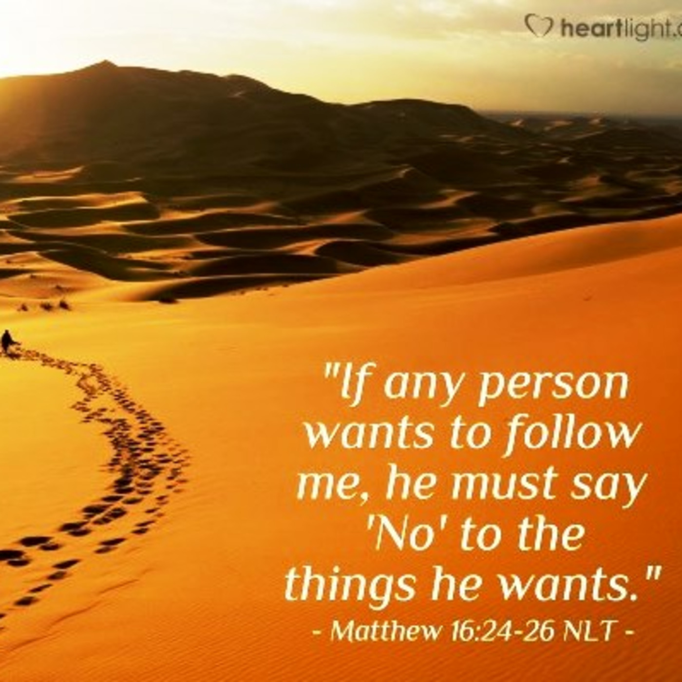 Episode 539  Following Jesus a Man of Action - Part 8 episode artwork