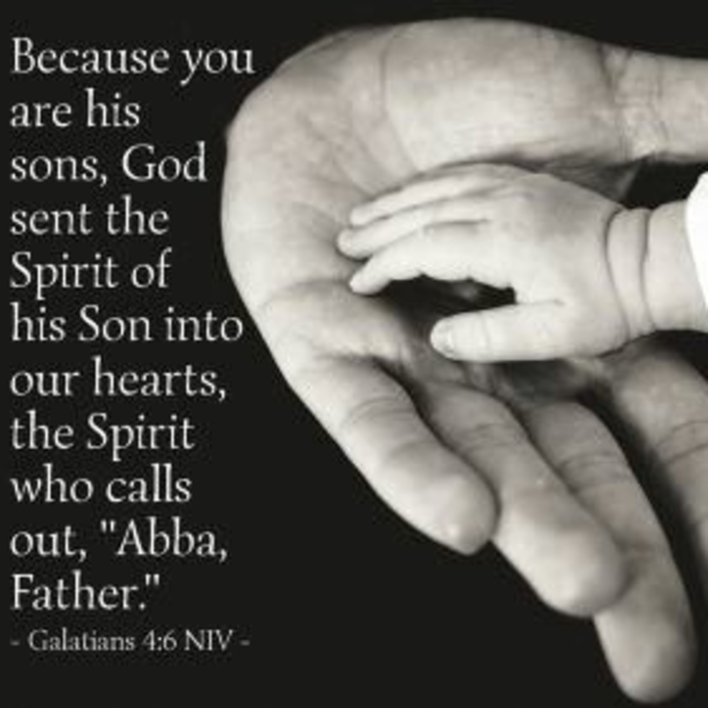 Episode 559  Our Father - What Jesus Said episode artwork