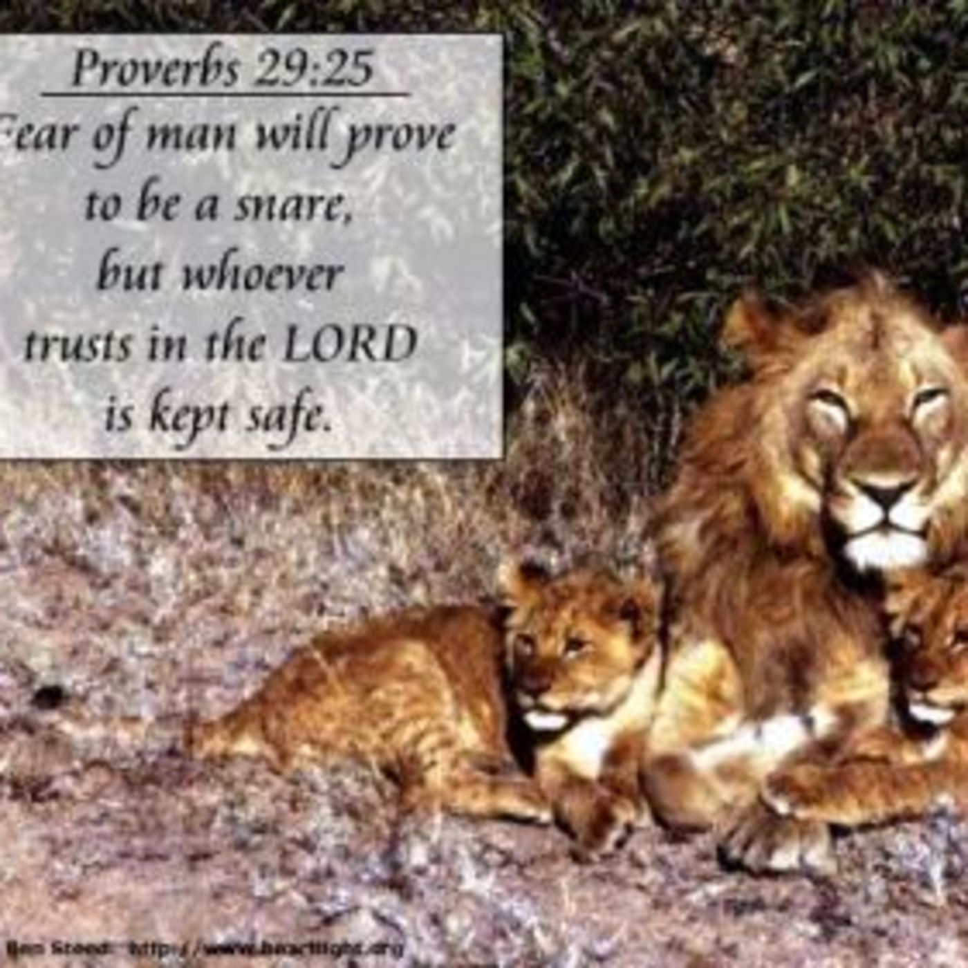 Episode 672  Fear of the Lord - Fear that Defeats episode artwork