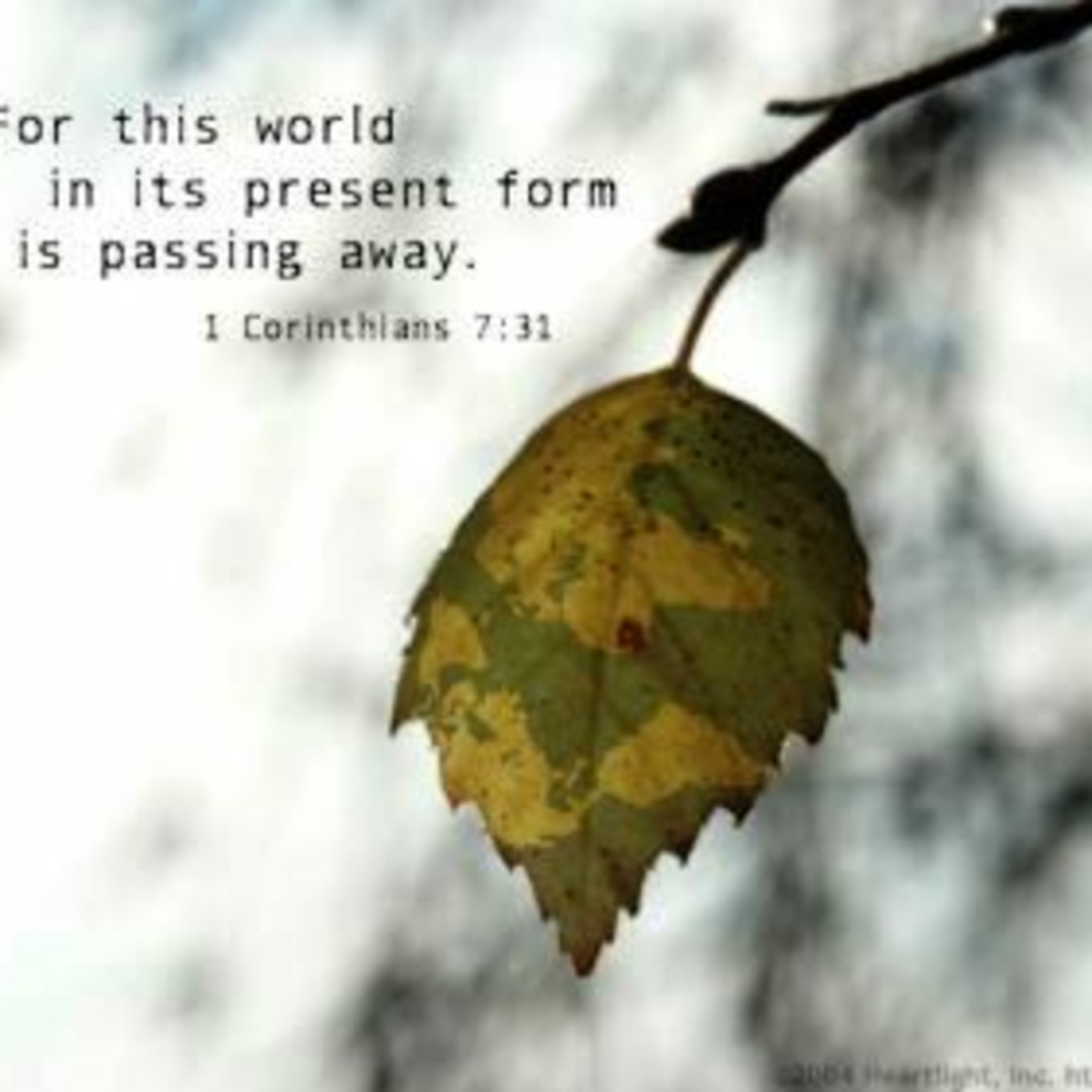 Episode 705  Can You Hear Me Now?  Worldly Hearer episode artwork