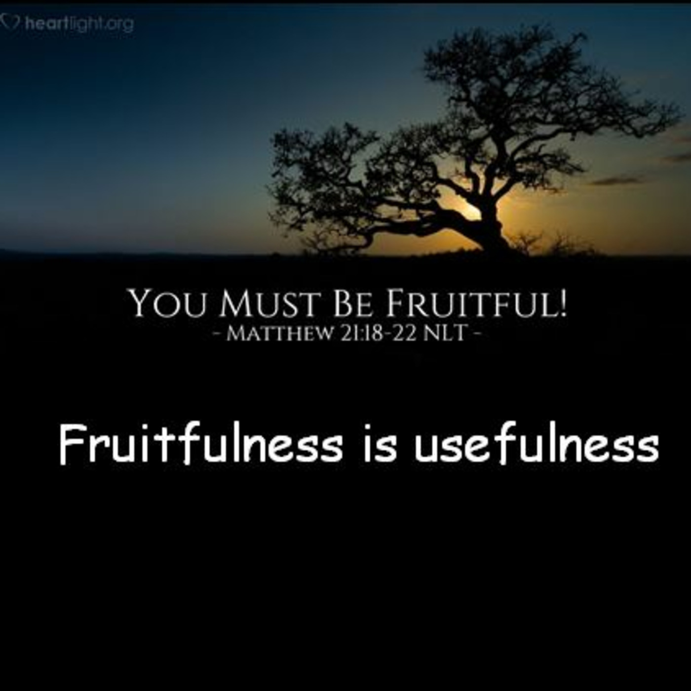 Episode 1056: Episode 1056  Six Weeks to Victory!  Fruitfulness a Must