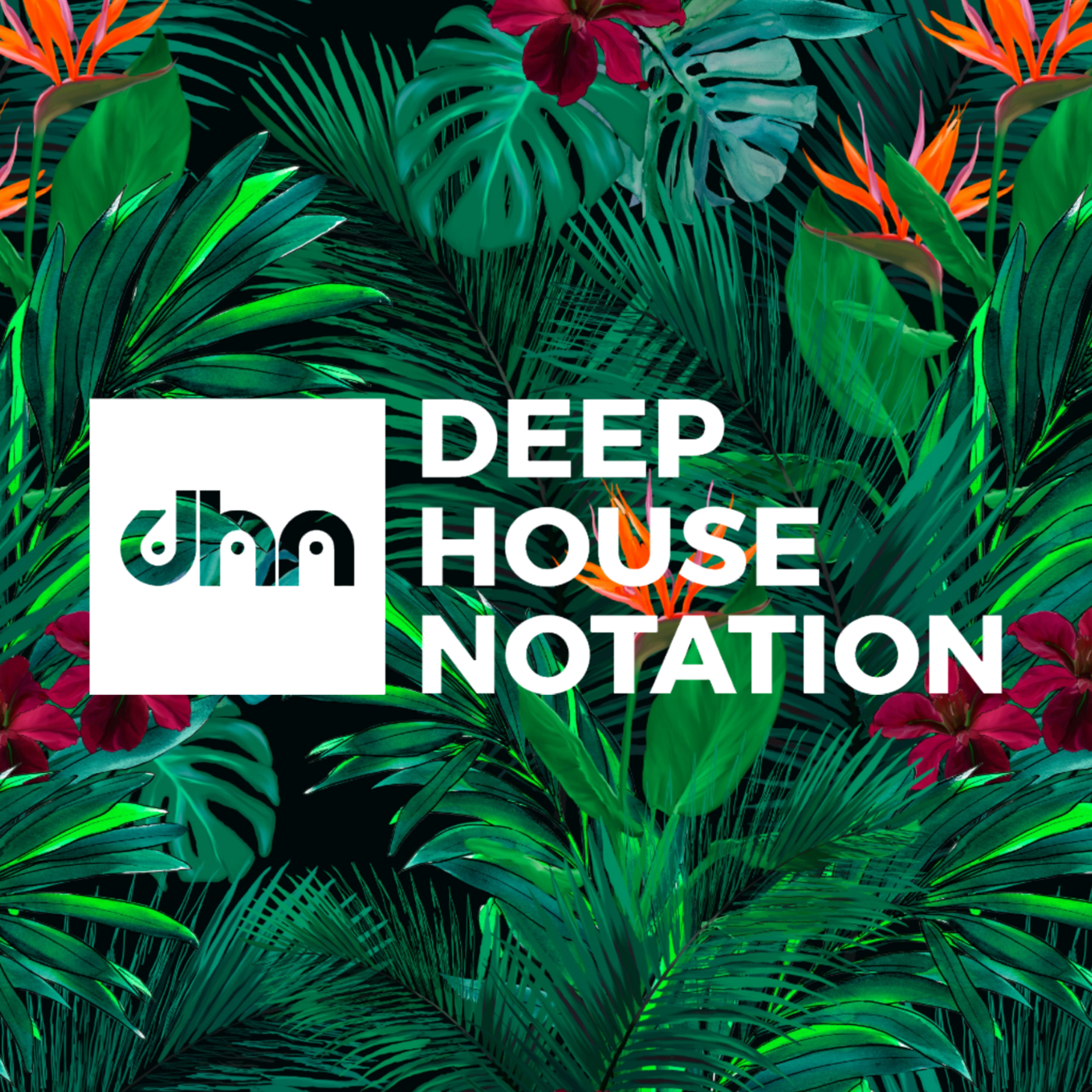 Episode 1: Deep House Notation Vol.14 Episode 1 Mixed By Sir Spanyol