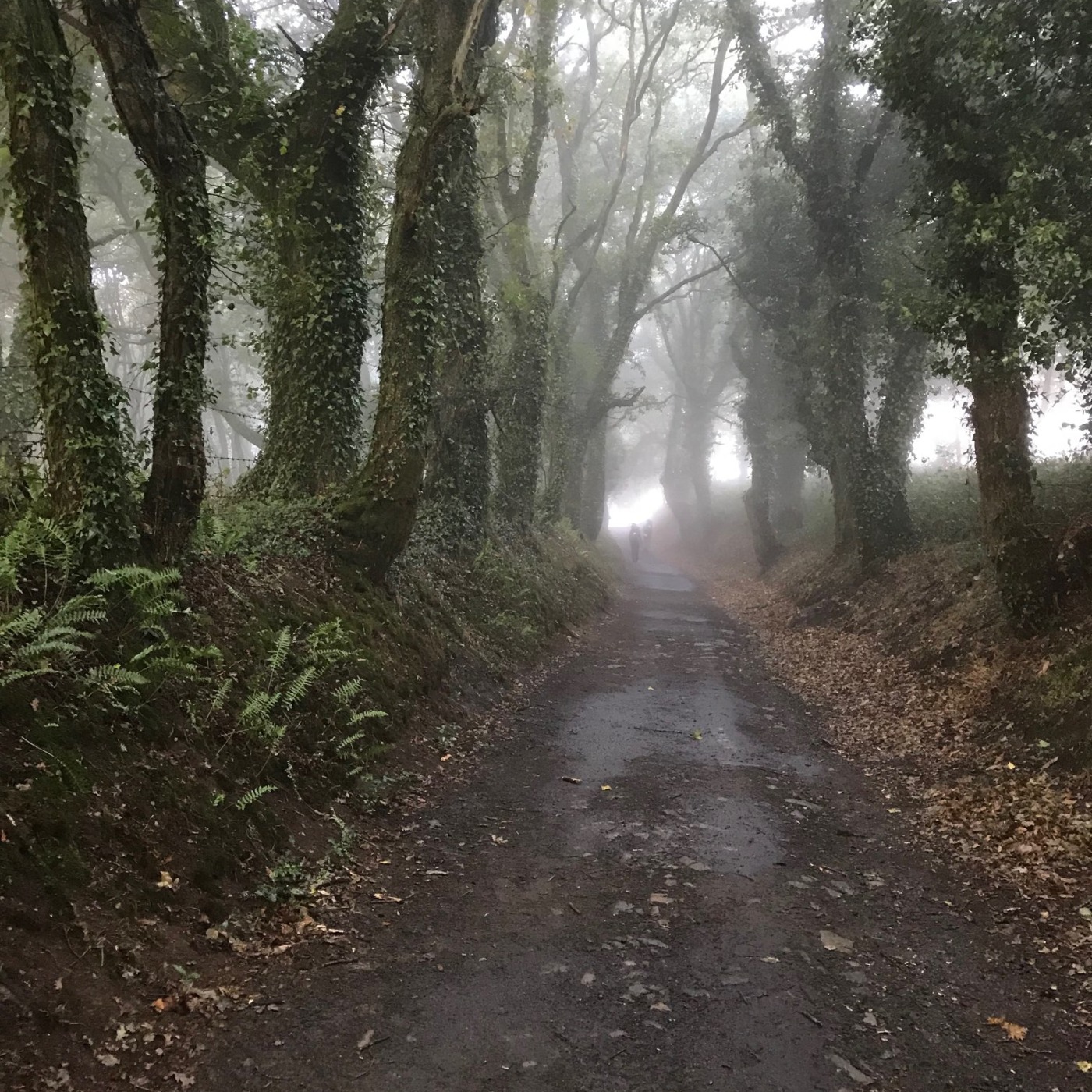 The Cosmic Barrio with Betto Arcos