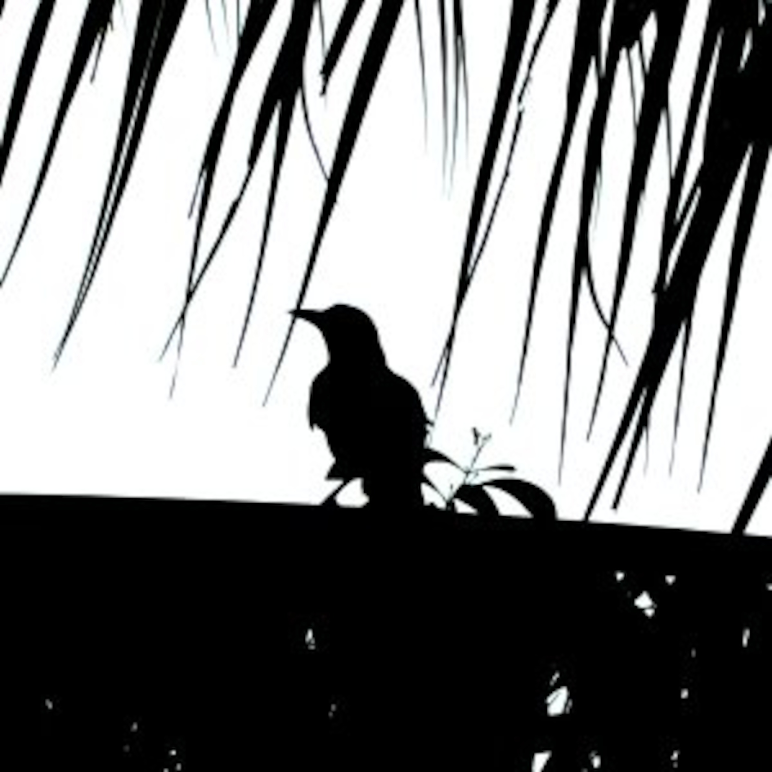 The Sound of Deep Floyd......"Bird of Pray" episode artwork