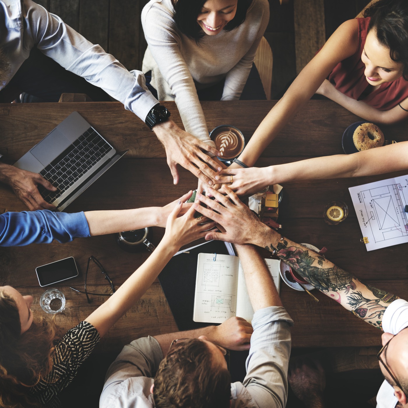 Team Diversity May Not Be What You Think