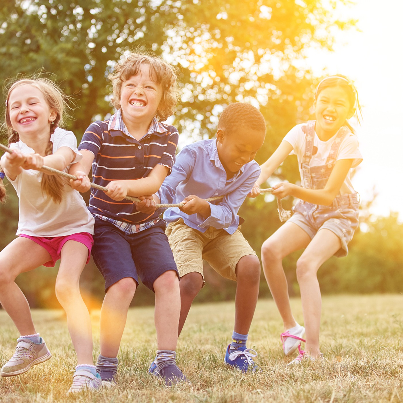Creating an Intentionally Diverse Team