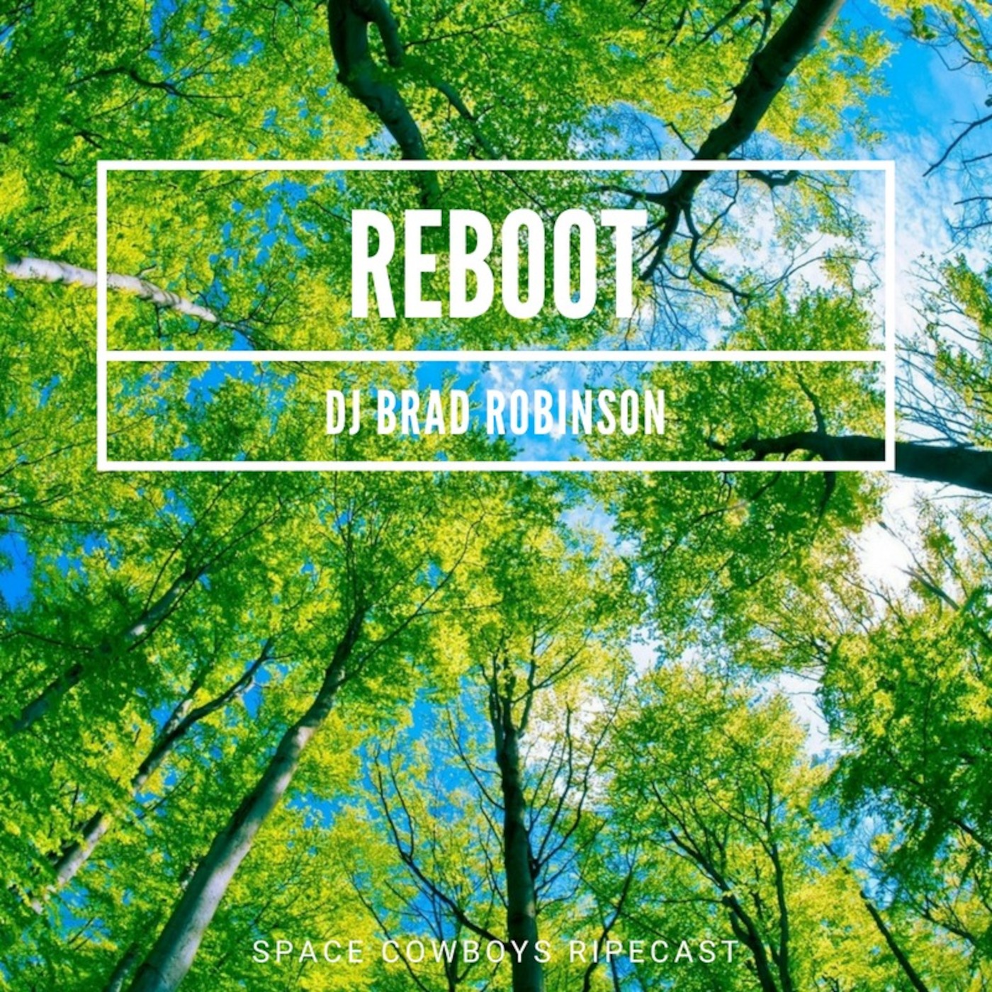 DJ Brad Robinson\'s Podcast