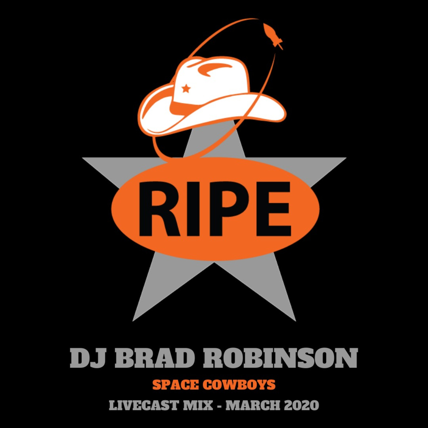 DJ Brad Robinson\'s Podcast