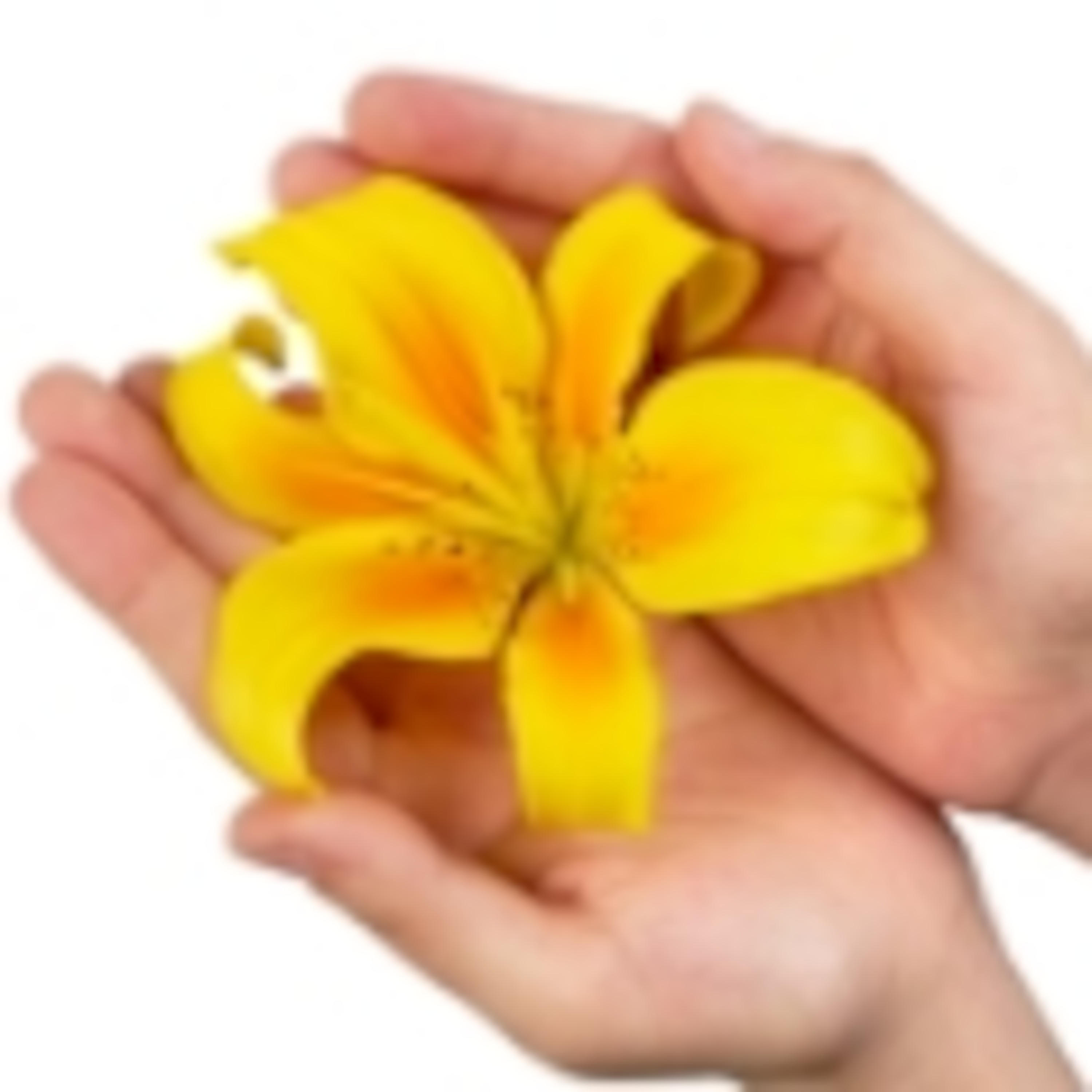 WISDOM FOR YOUR LIFE WITH SPIRITUAL EXPERT, KATRINA CAVANOUGH ON GOLDEN ROSE PSYCHIC RADIO episode artwork