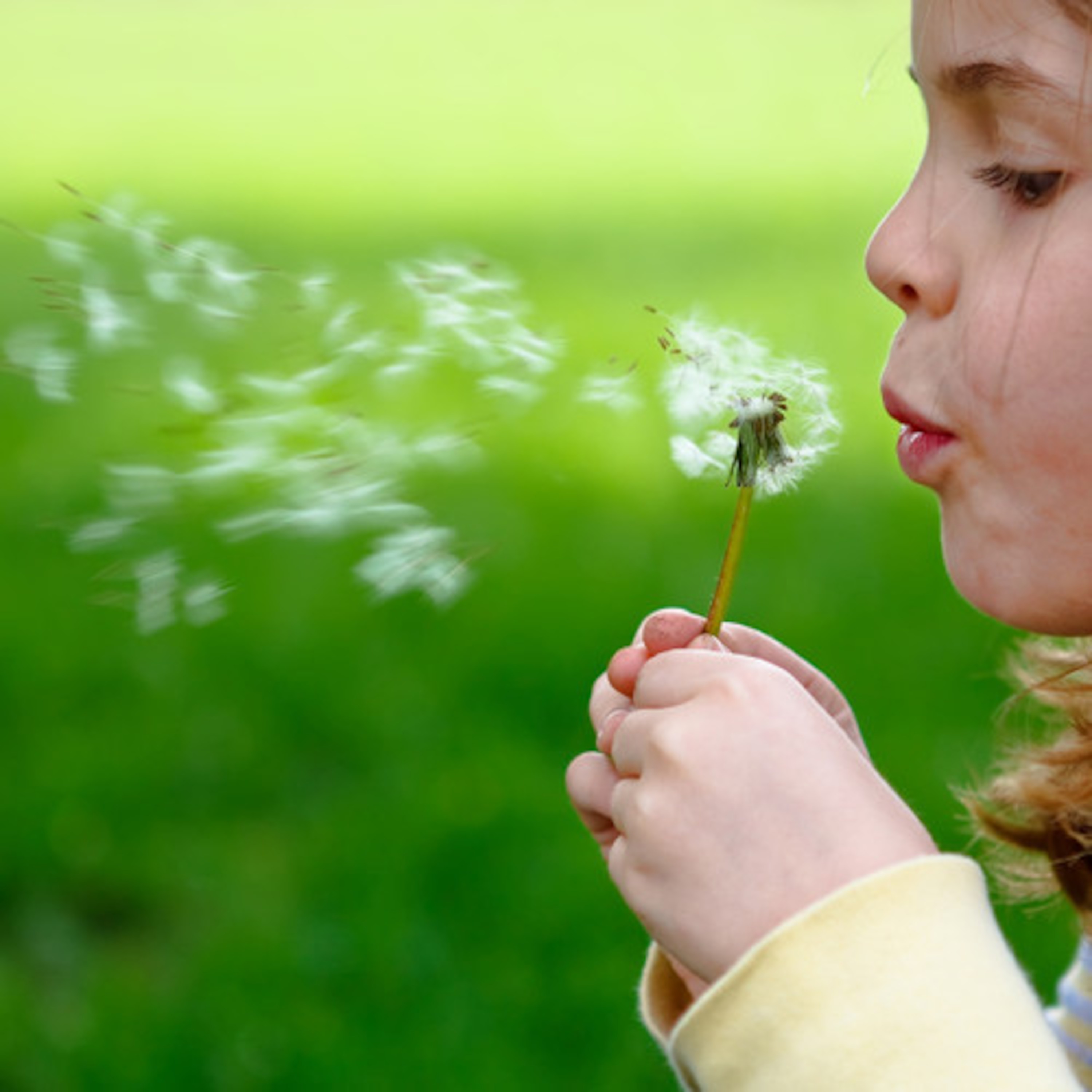 THERAPEUTIC BREATHWORK: DEEP BREATHING, DEEP HEALING ON GOLDEN ROSE PSYCHIC RADIO episode artwork