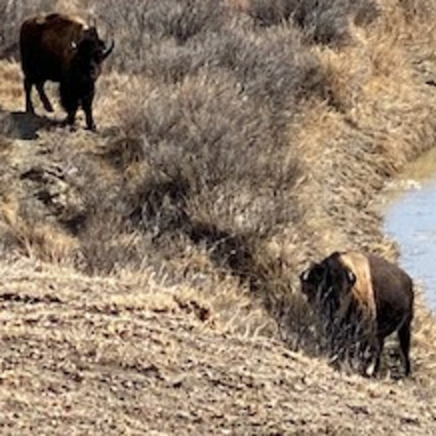Public Lands Podcast