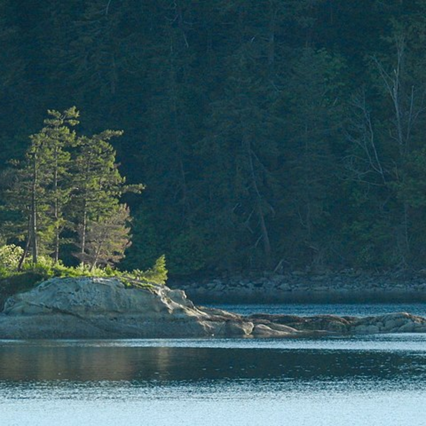 Public Lands Podcast