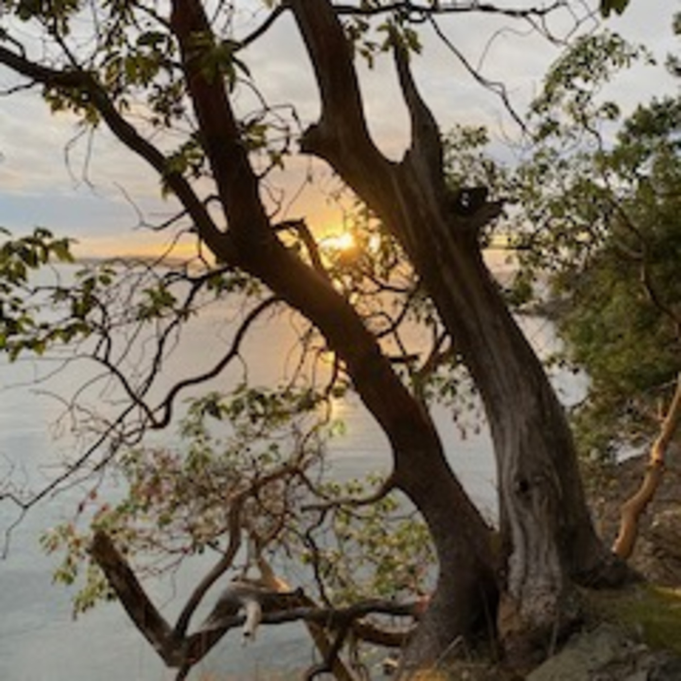 Public Lands Podcast