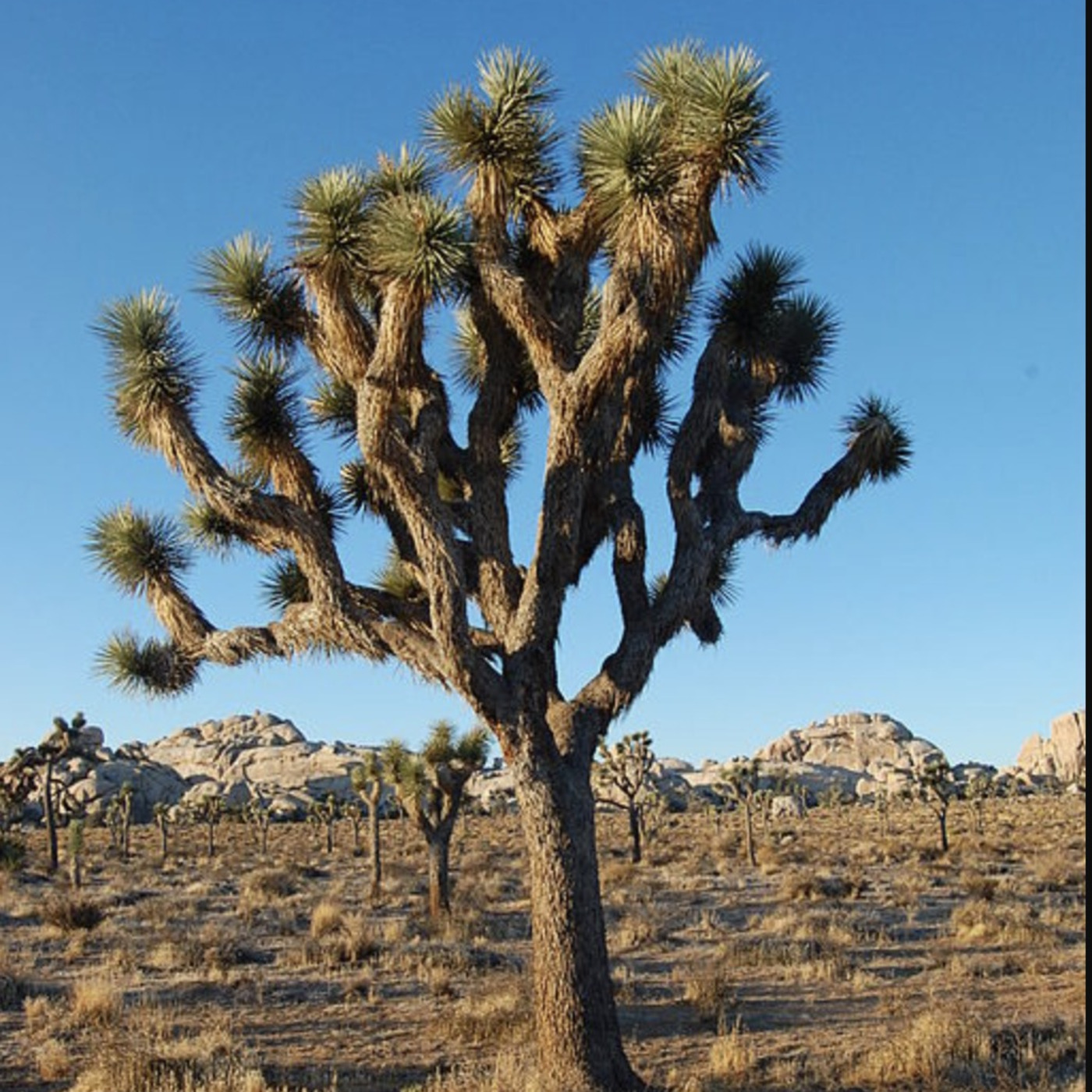 Public Lands Podcast