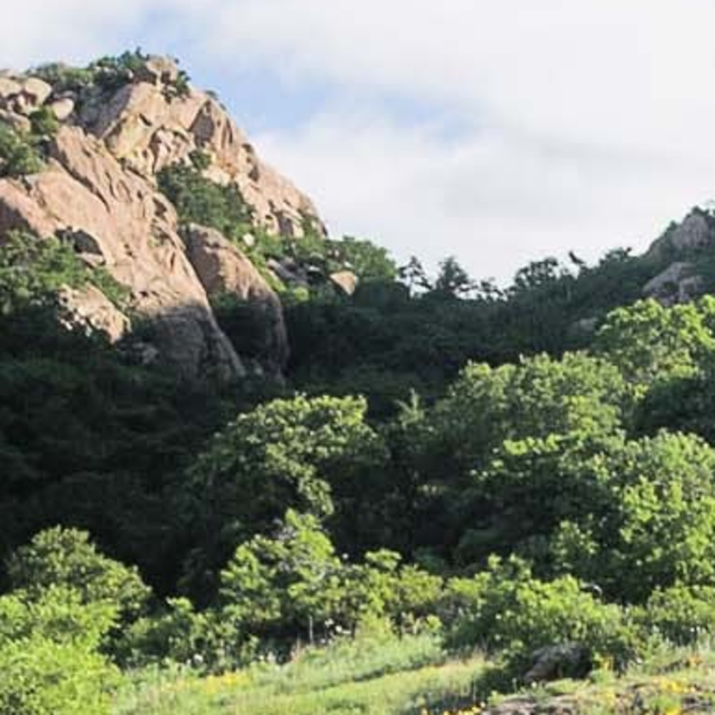 Episode 109: August 9: Keeping Public Lands in Public Hands, the Public Lands Foundation