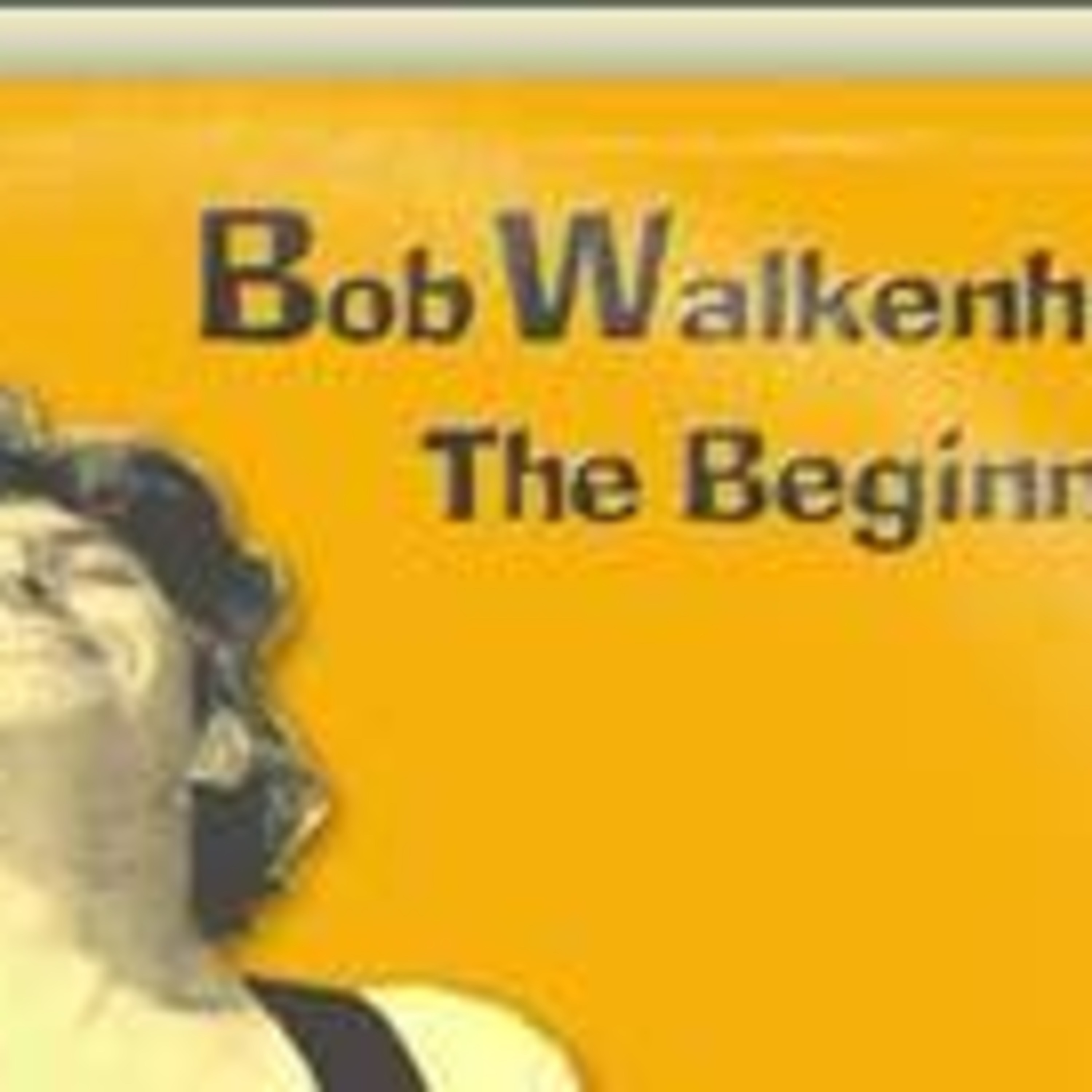 Bob Walkenhorst -venue Molloys irish Pub 2004 episode artwork