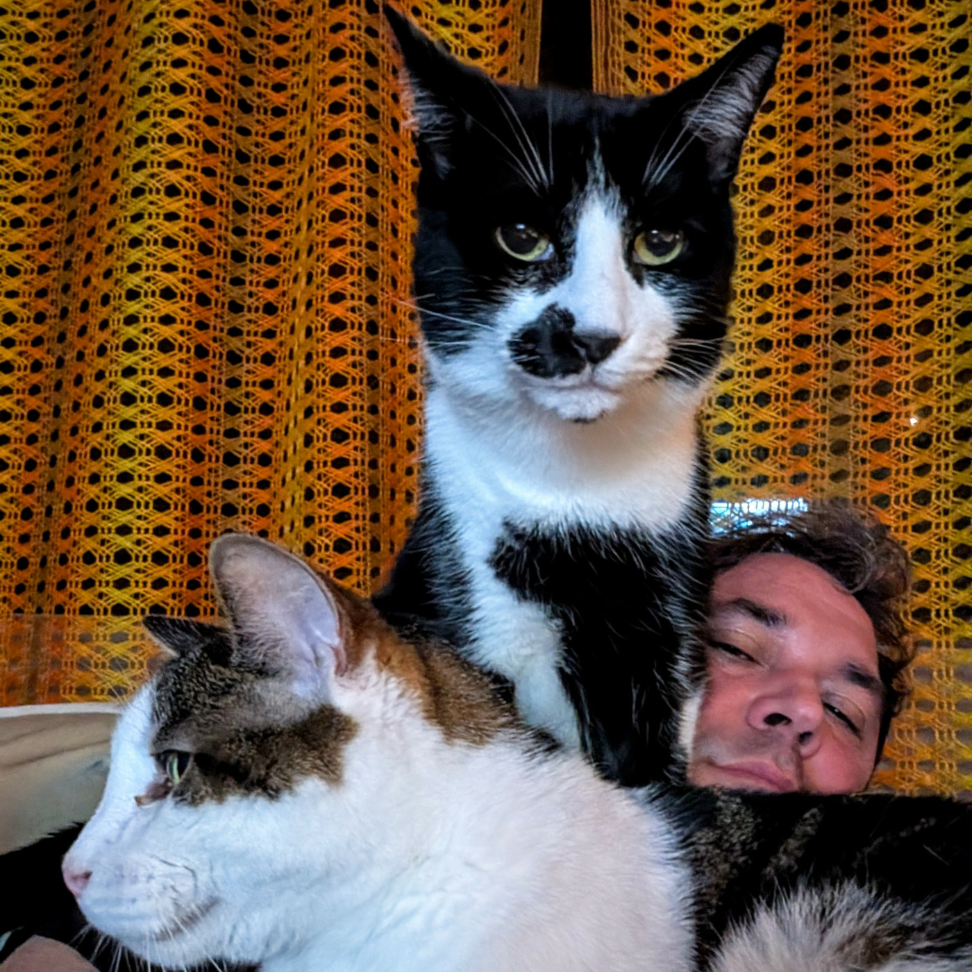 Episode 127: Addicted to the Needle - Episode 127 - Record Collecting 101