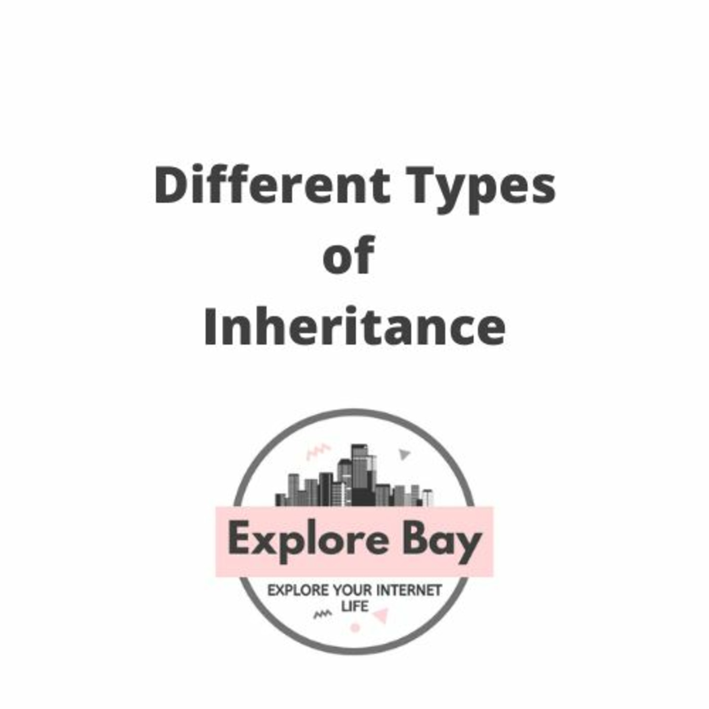Explore Bay