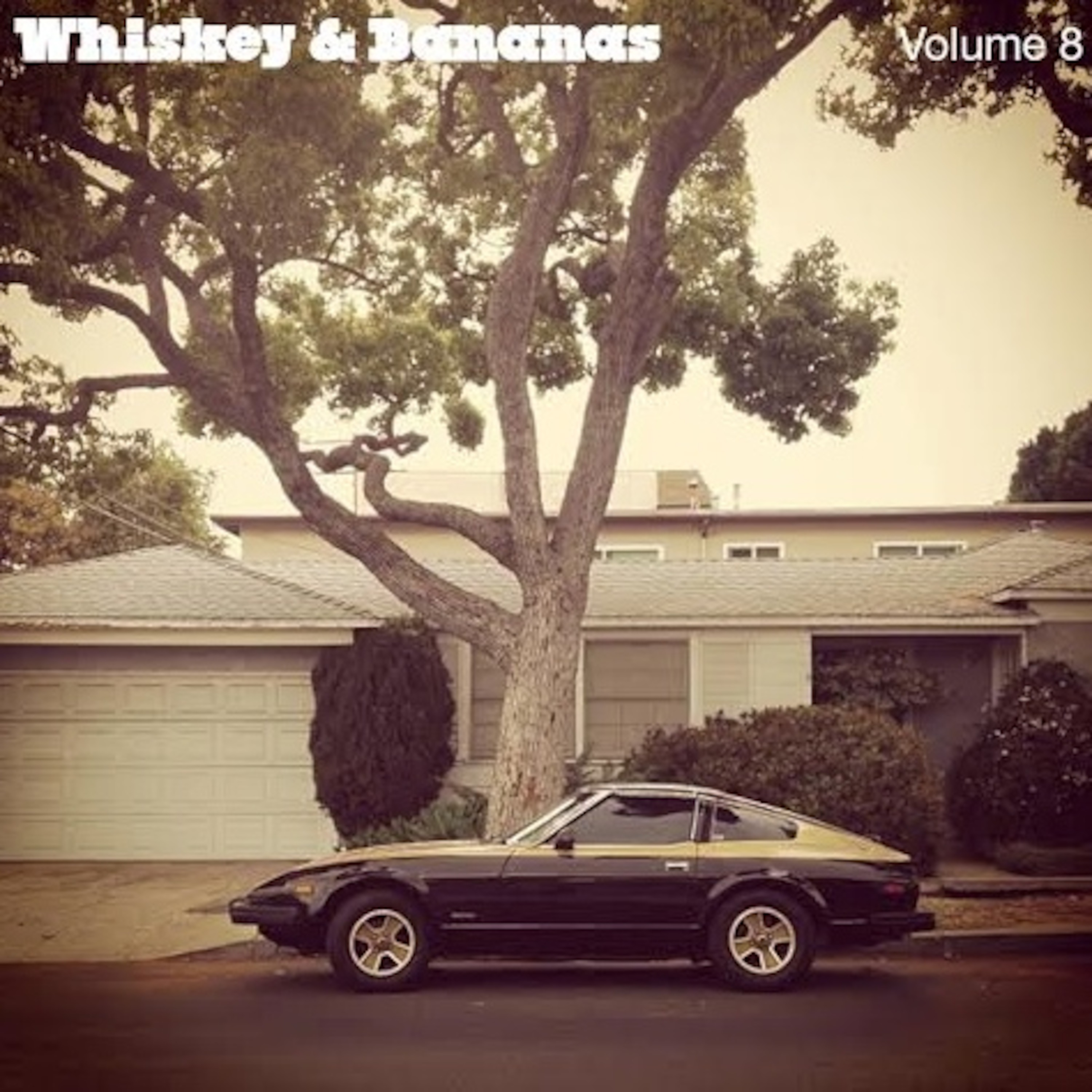 Whiskey & Bananas Mixtape Series