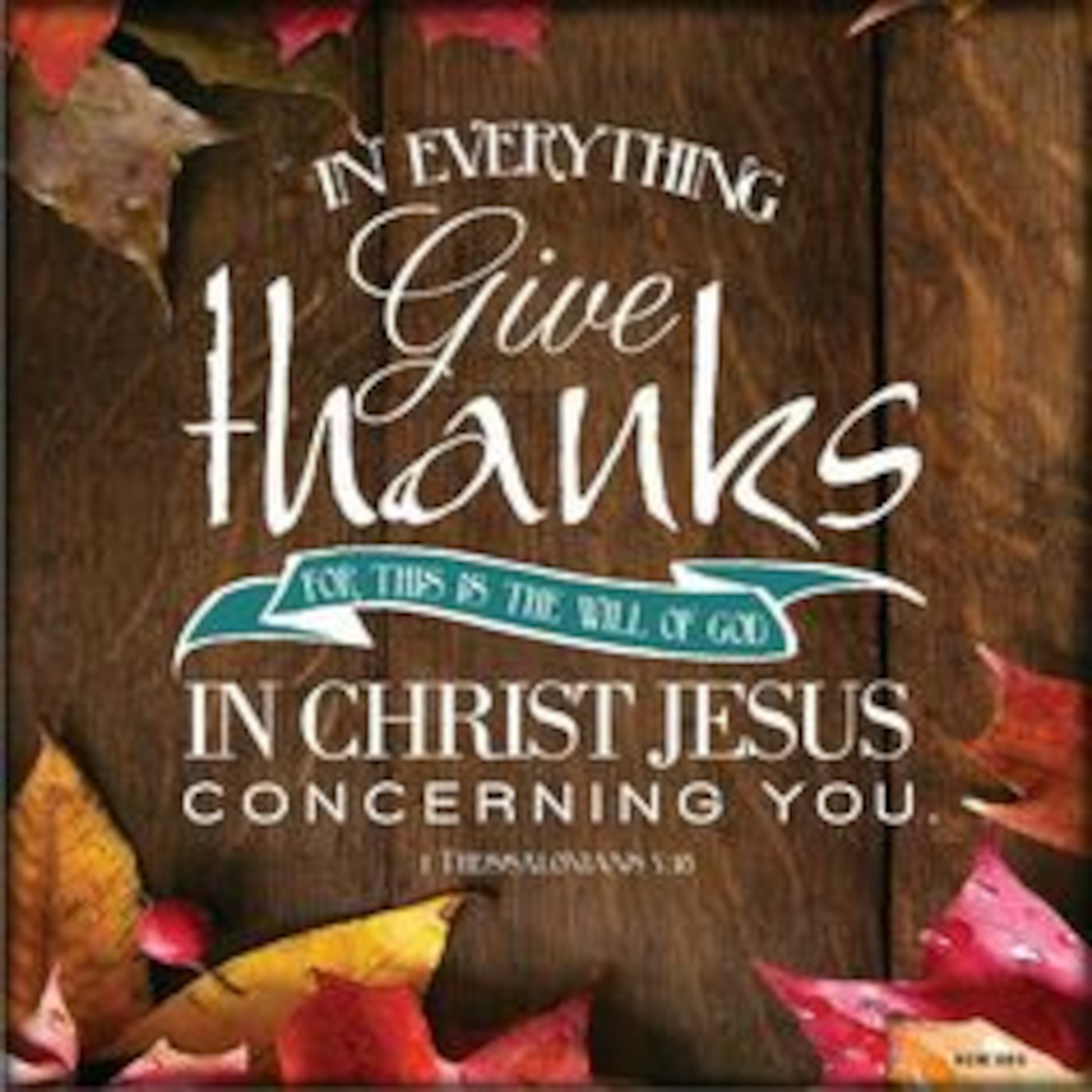 Rev. Dr. Chris Denny\'s Podcast