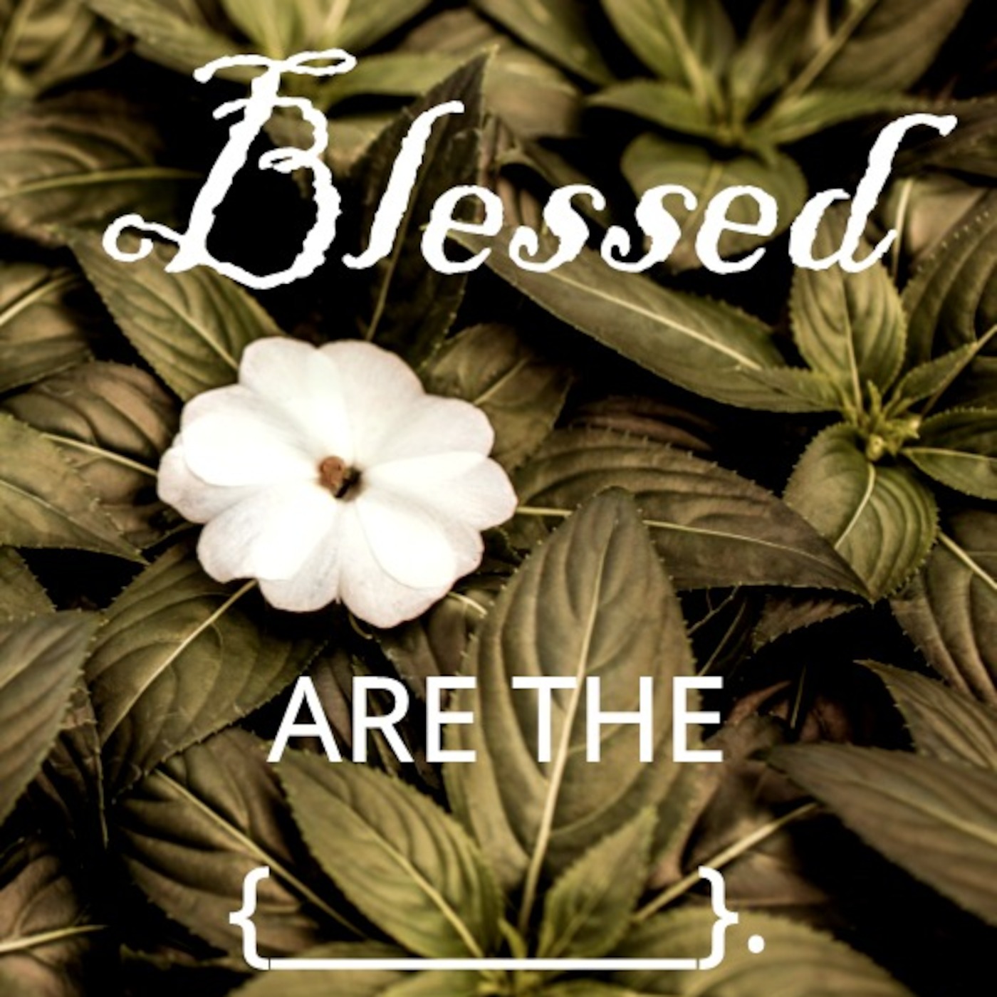 Rev. Dr. Chris Denny\'s Podcast