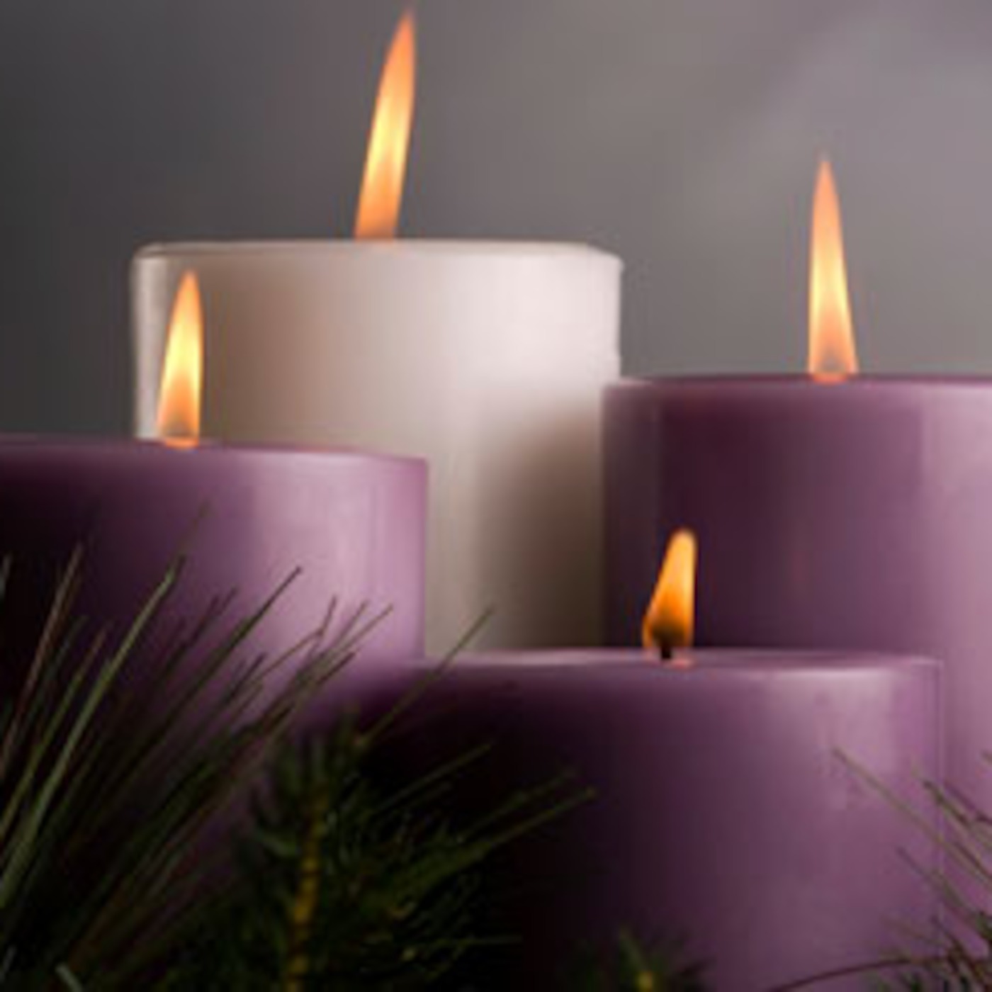 Advent: The Righteous Branch