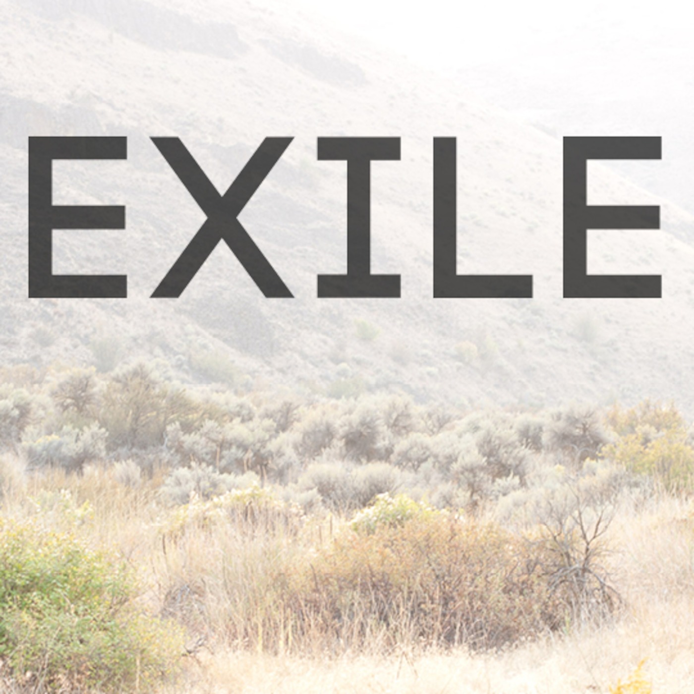 Faithful Exile: Testify