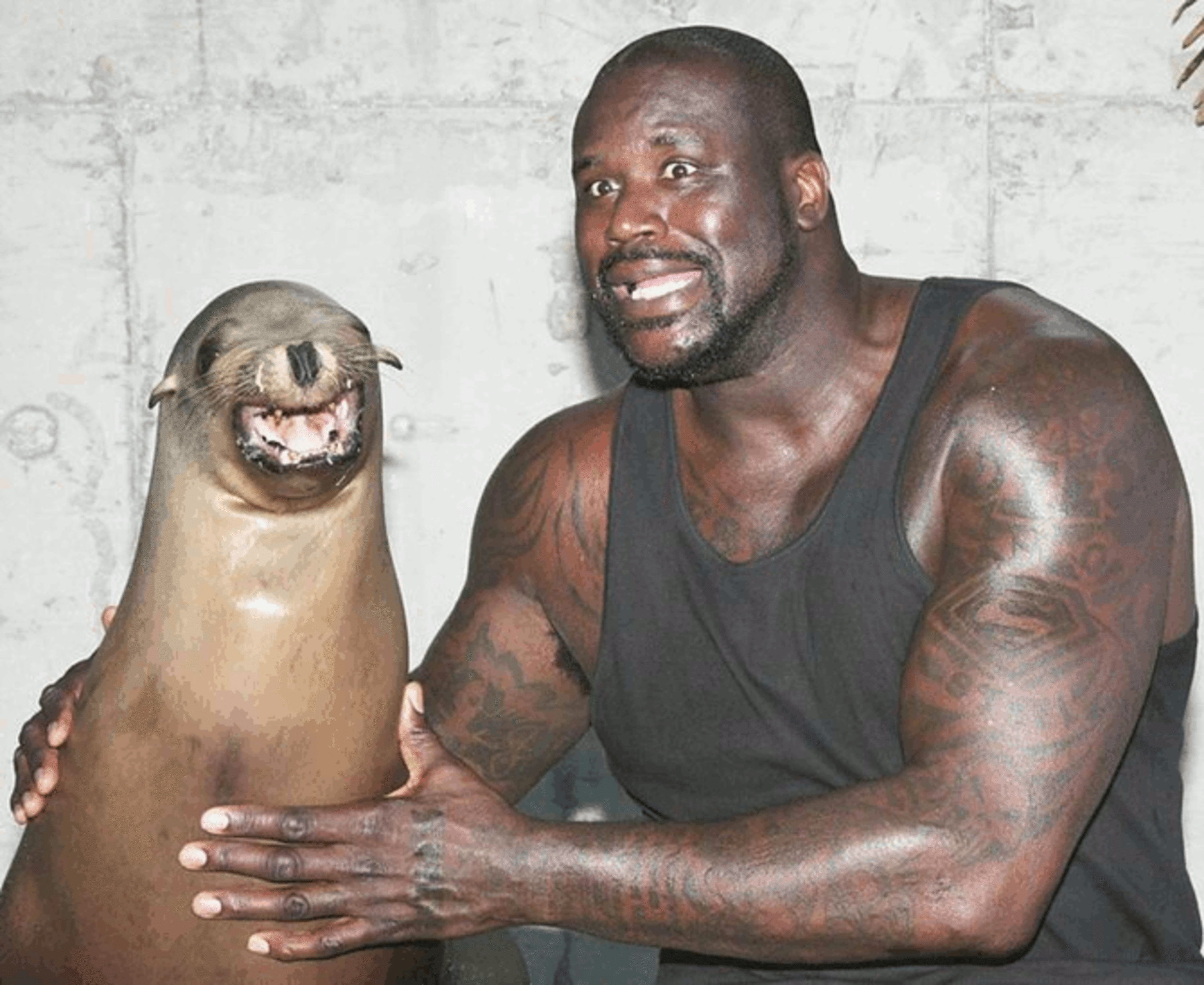 itunes pic