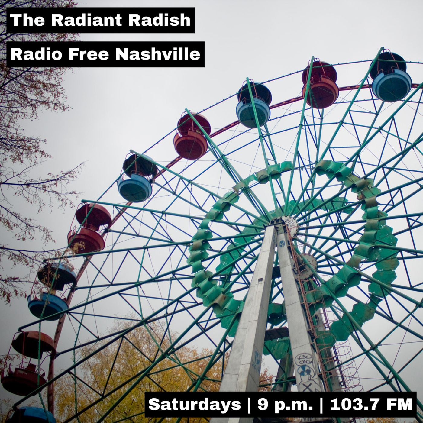 The Radiant Radish