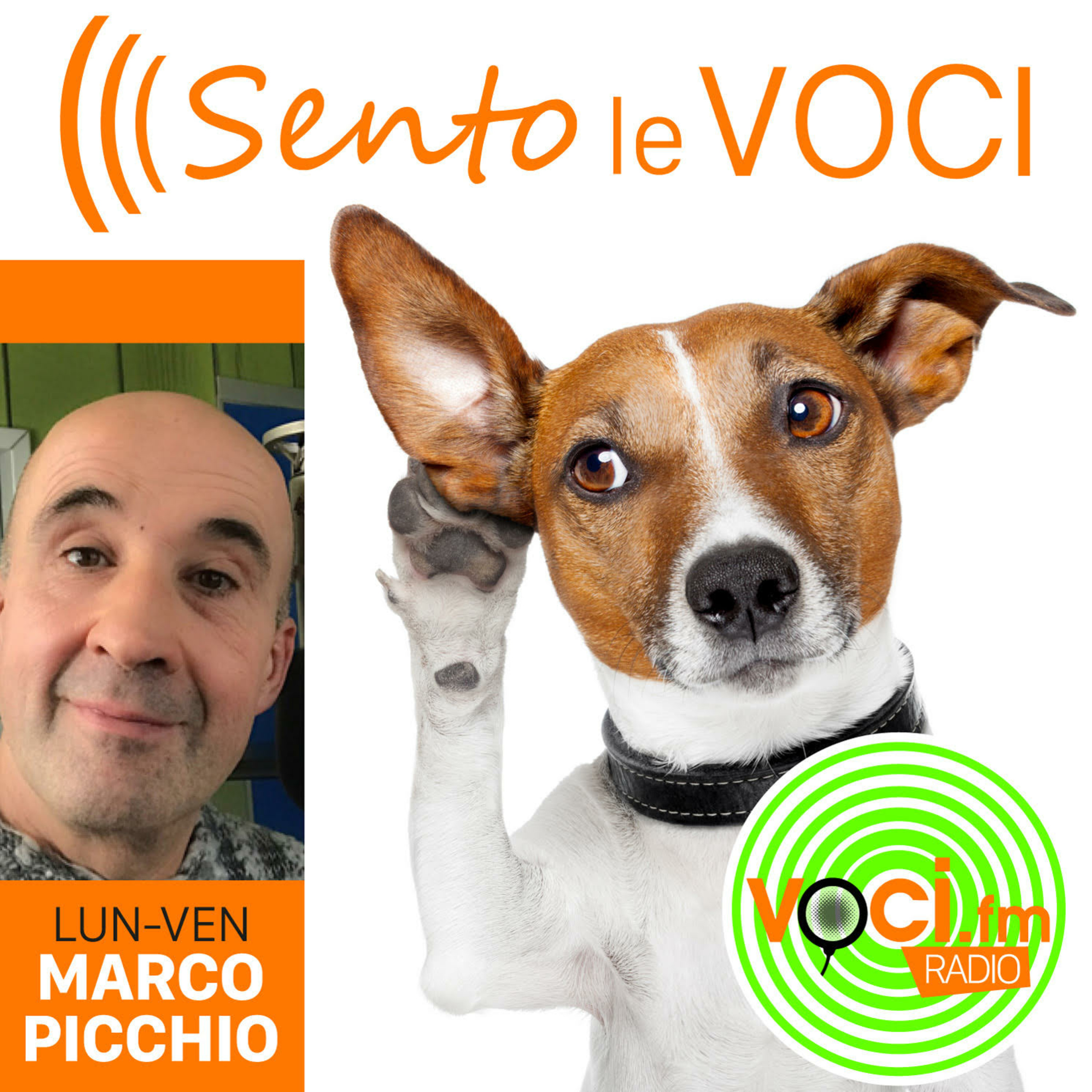 VOCI.fm - dal Magazine