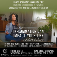 Your LifeBook, Element 20: Maximizing Your Anti-Inflammation Protection