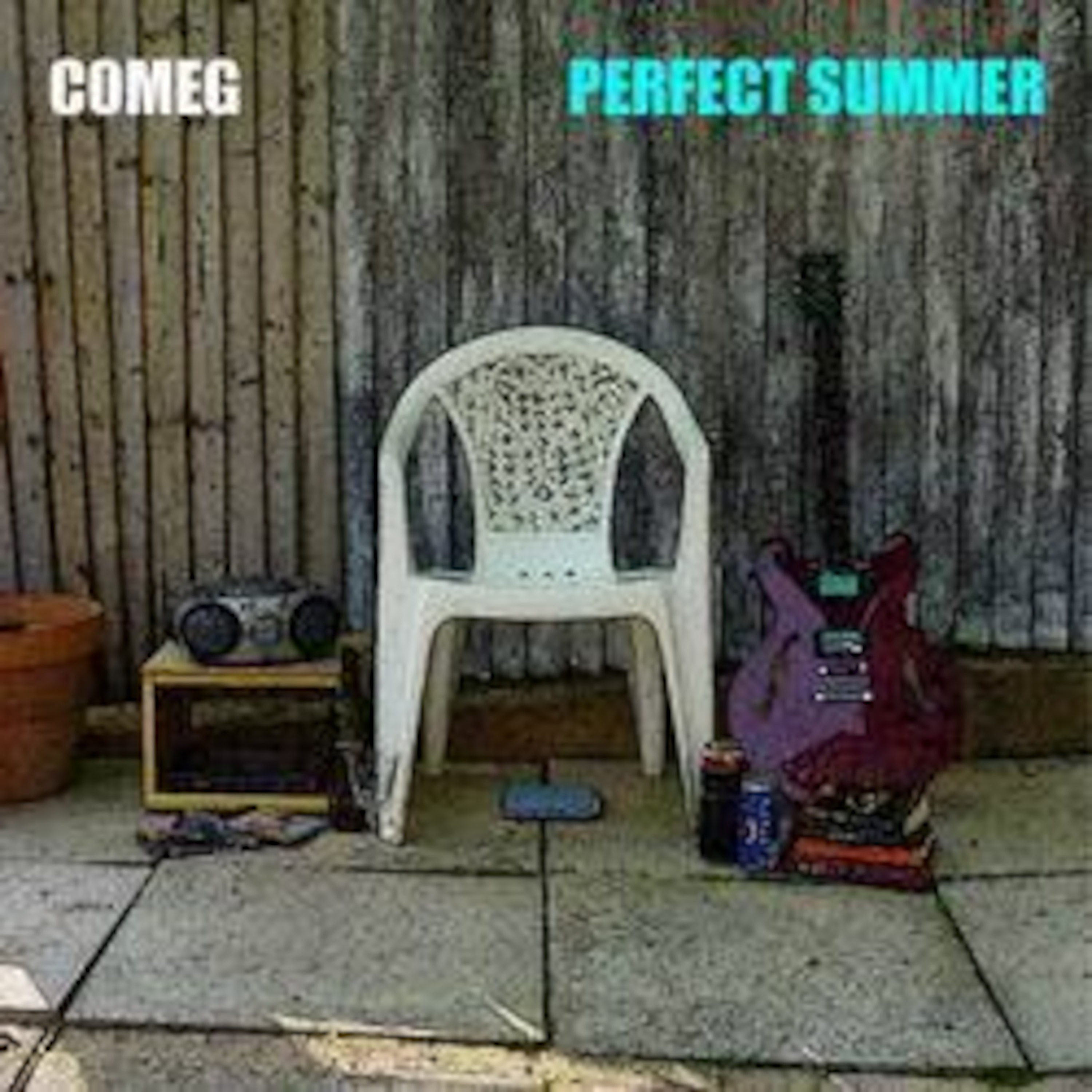COMEG