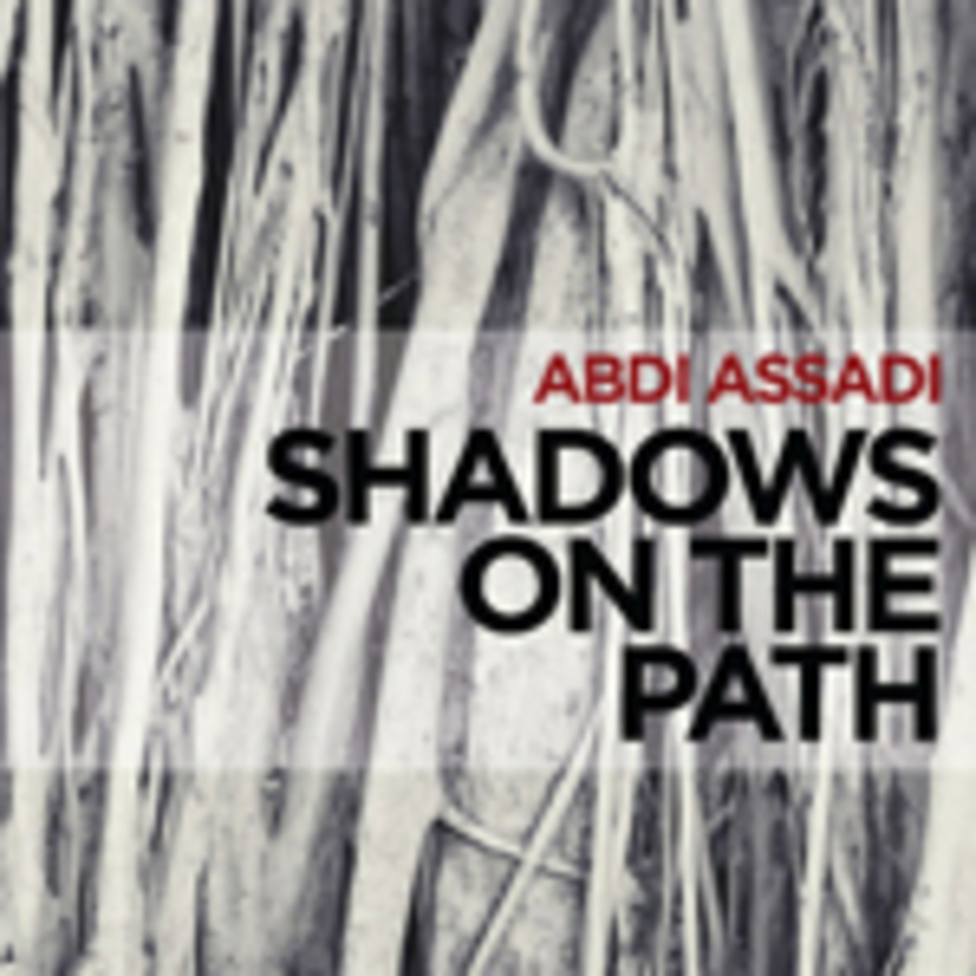 A Conversation with Abdi Assadi, Part 2 of 3 episode artwork