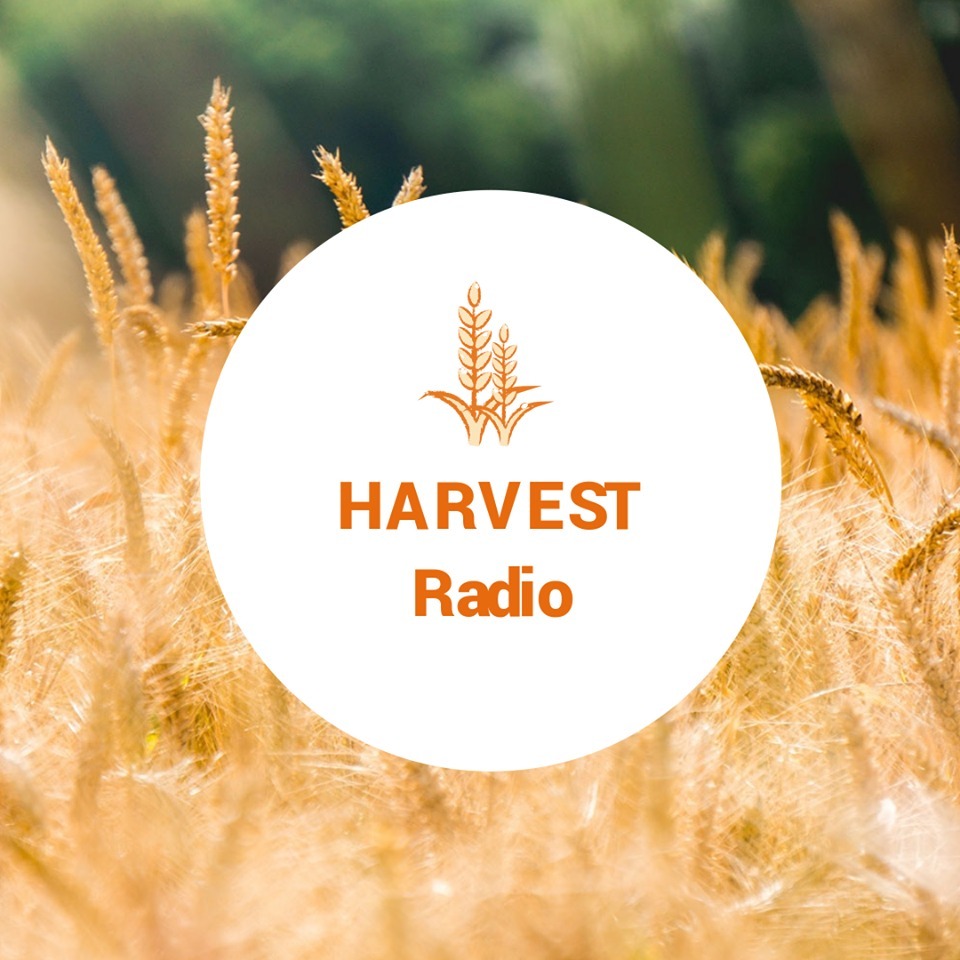 Harvest Focus
