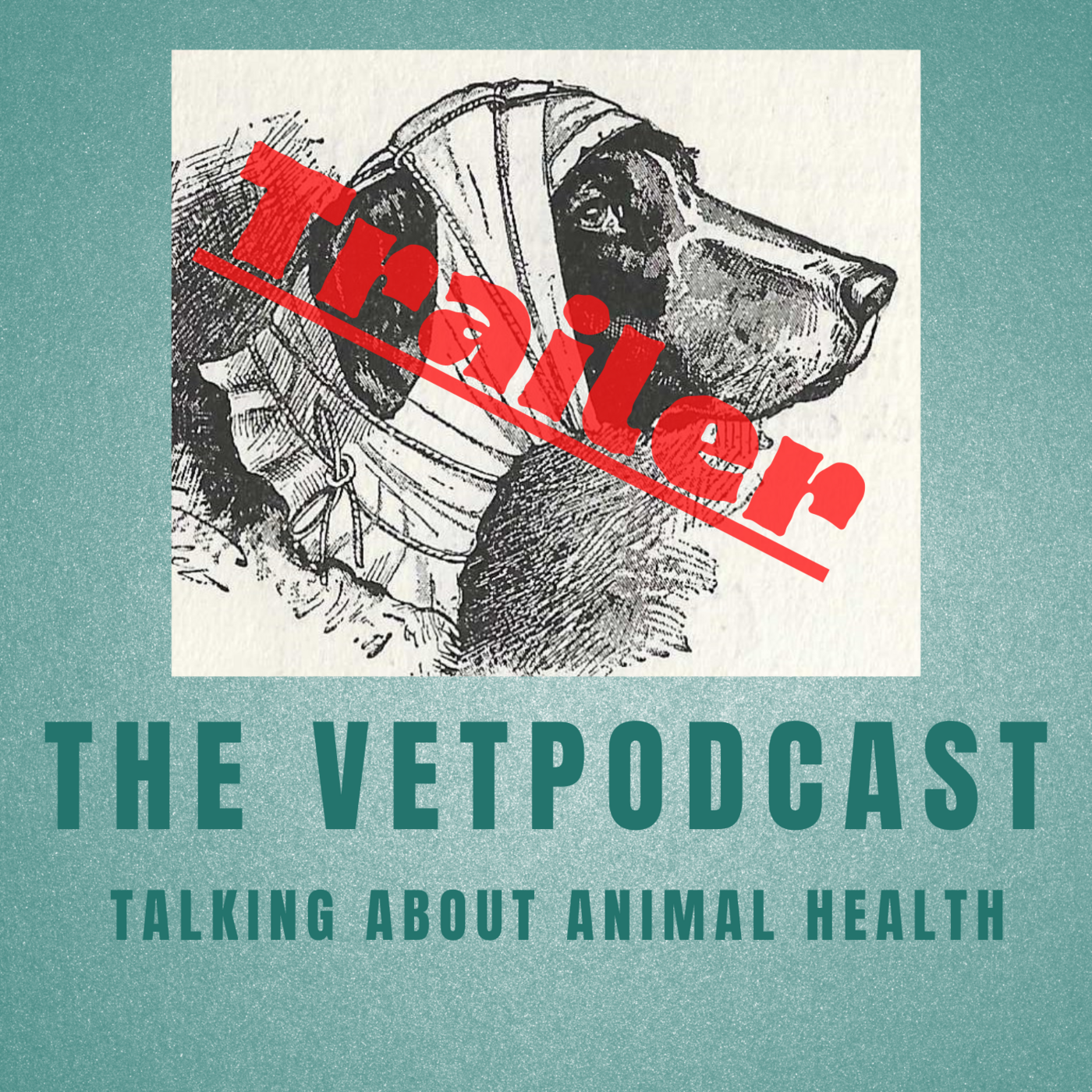 Episode 41: The Vetpodcast Trailer