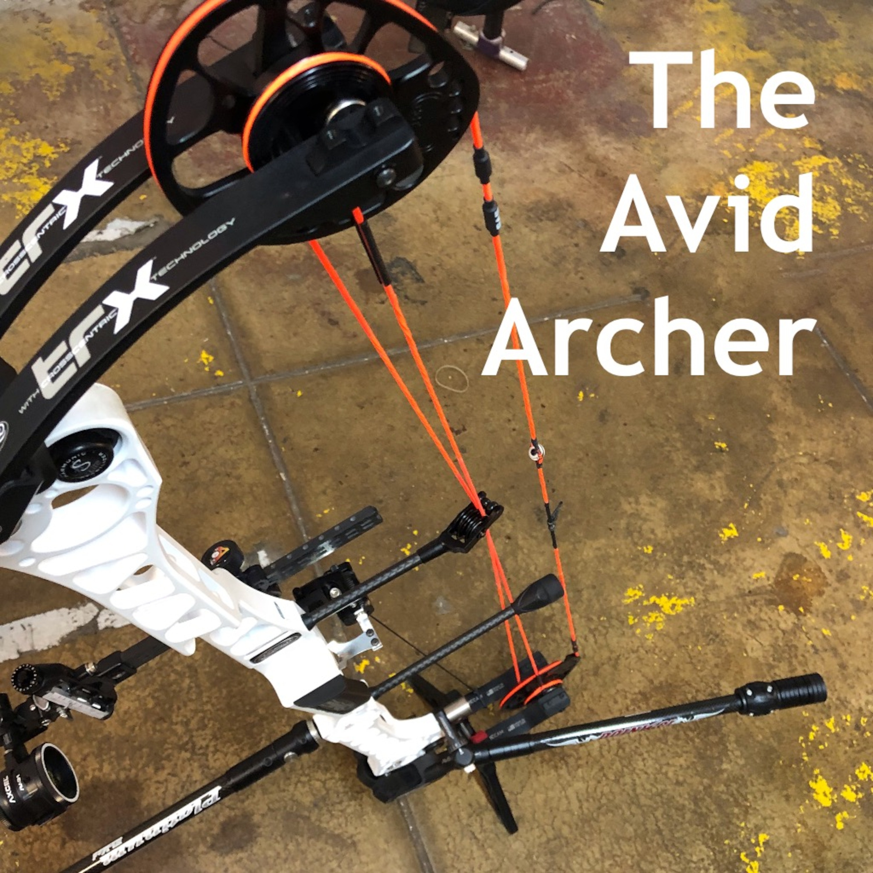 The Avid Archer