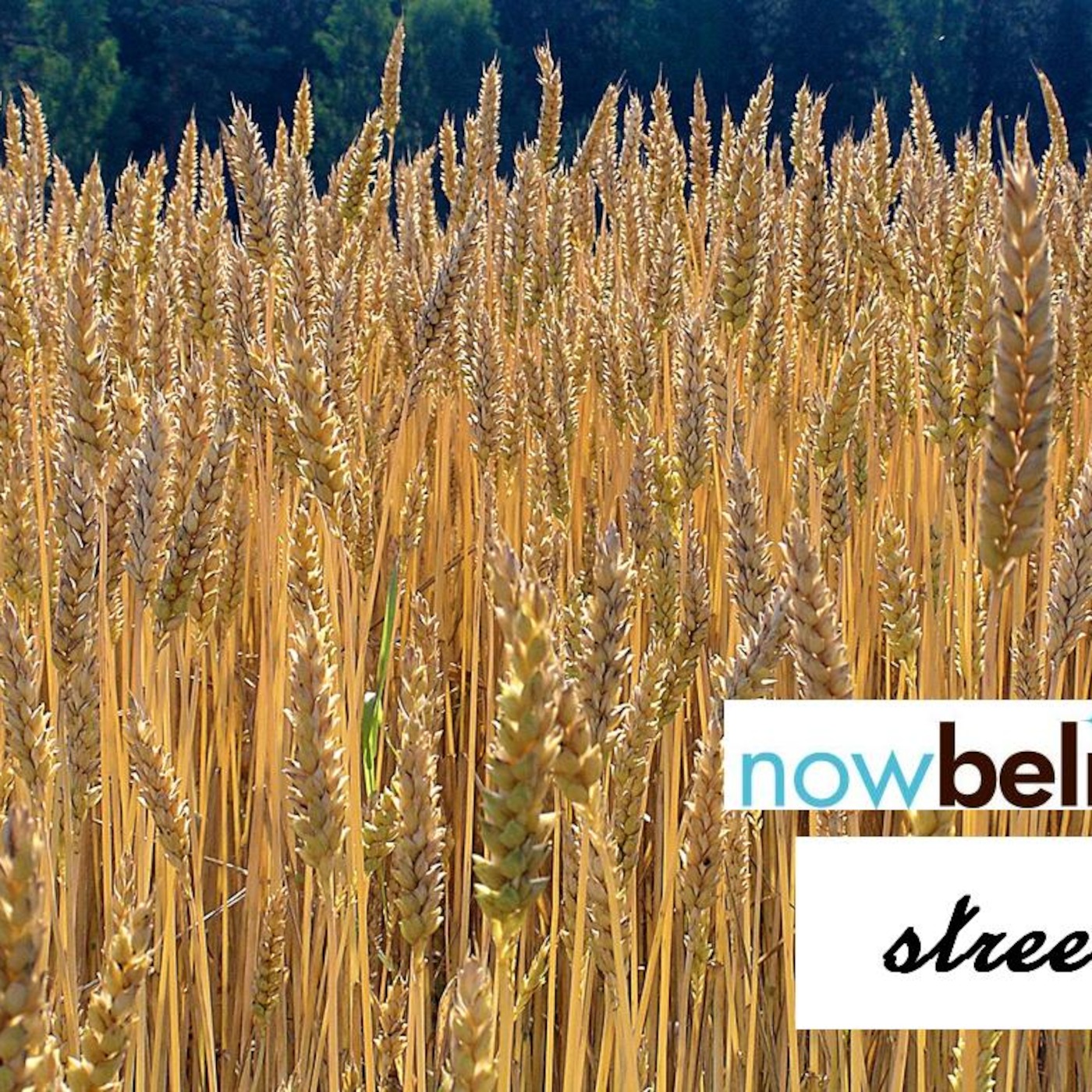 nowbelieve Streets Action 2: 'Commissioning' episode artwork