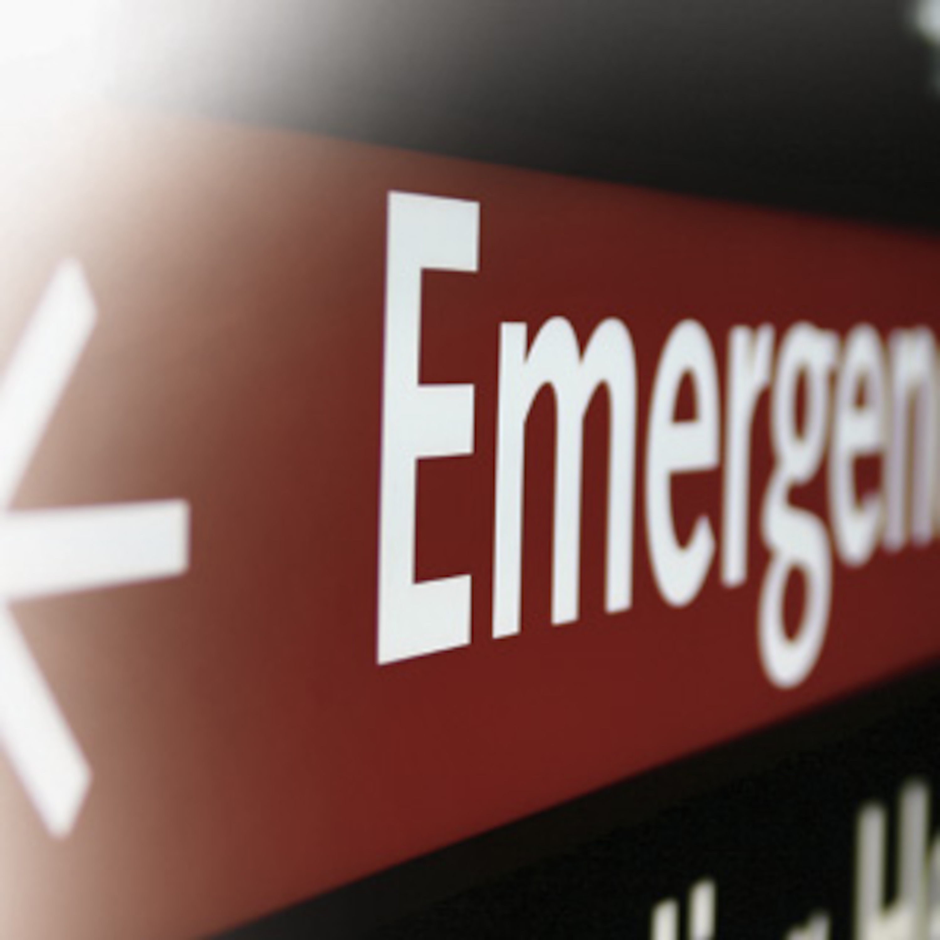 DavPelton\'s FraudCast