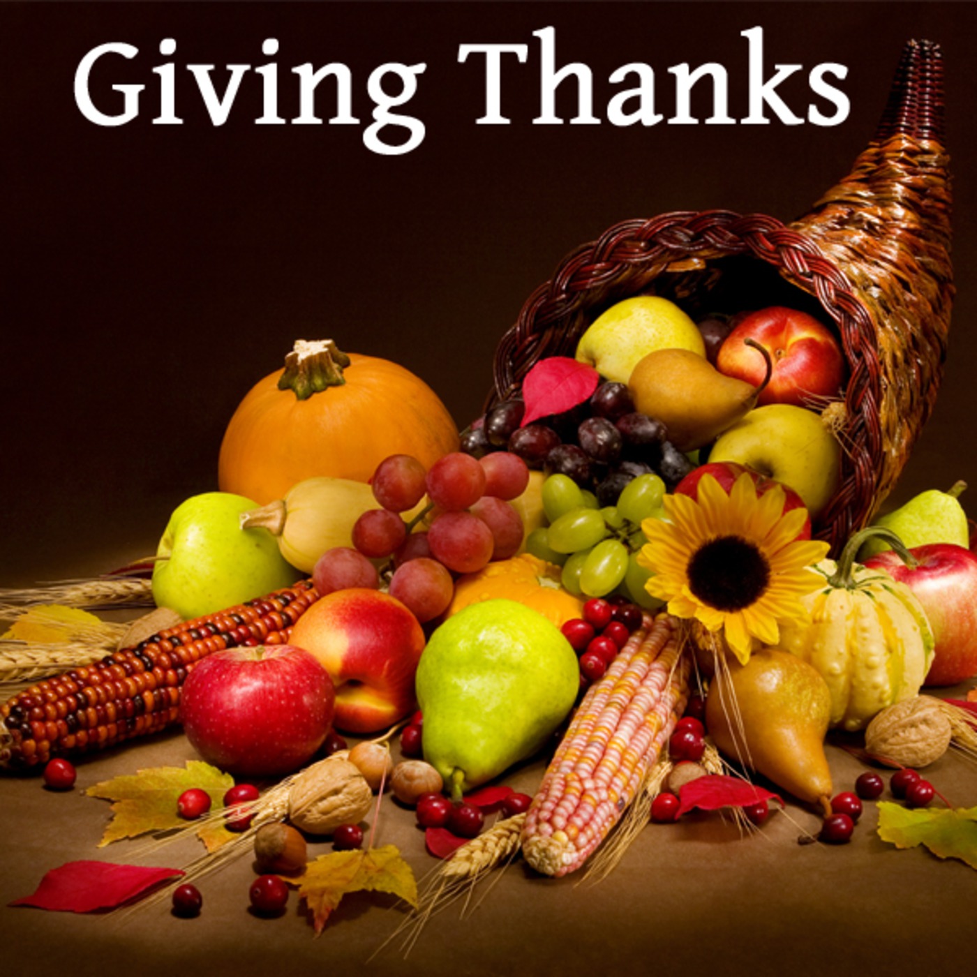 November 23rd Worship Celebration episode artwork