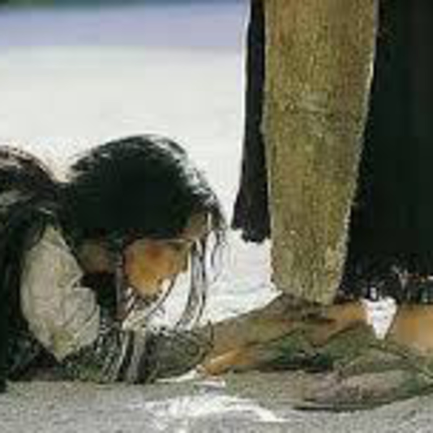 Inspirasyon 64: Hindi pa huli ang isang pagbabago...