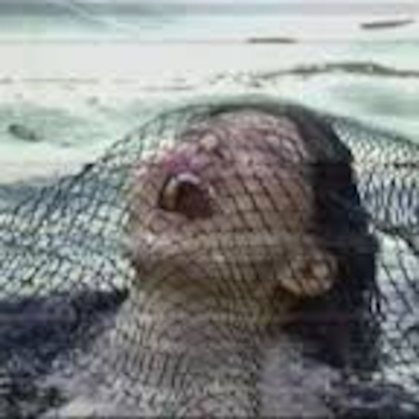 Inspirasyon 69: Ang Diyos ay walang diskiminasyon...