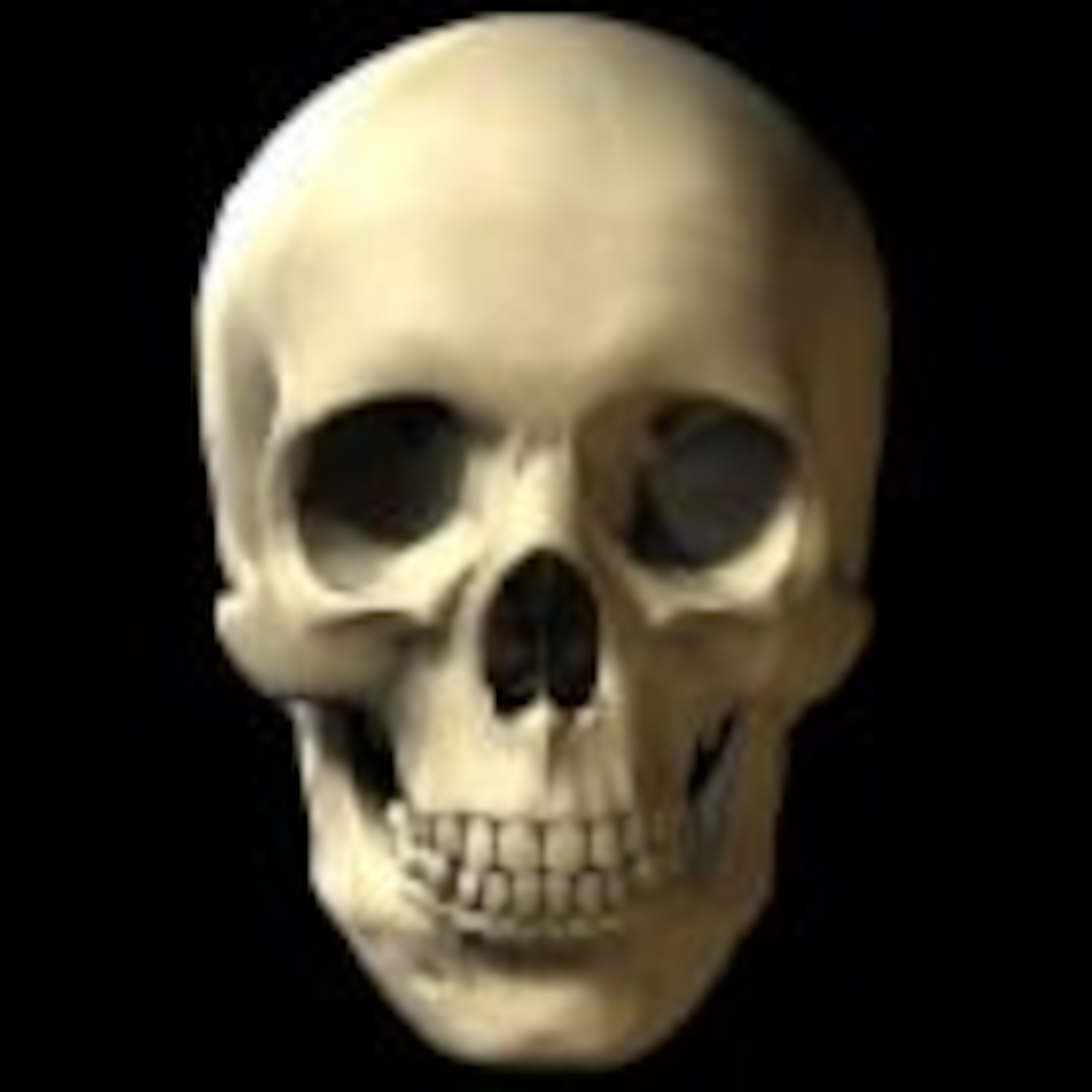 THE CRYPT OF CAPTAIN SKULL