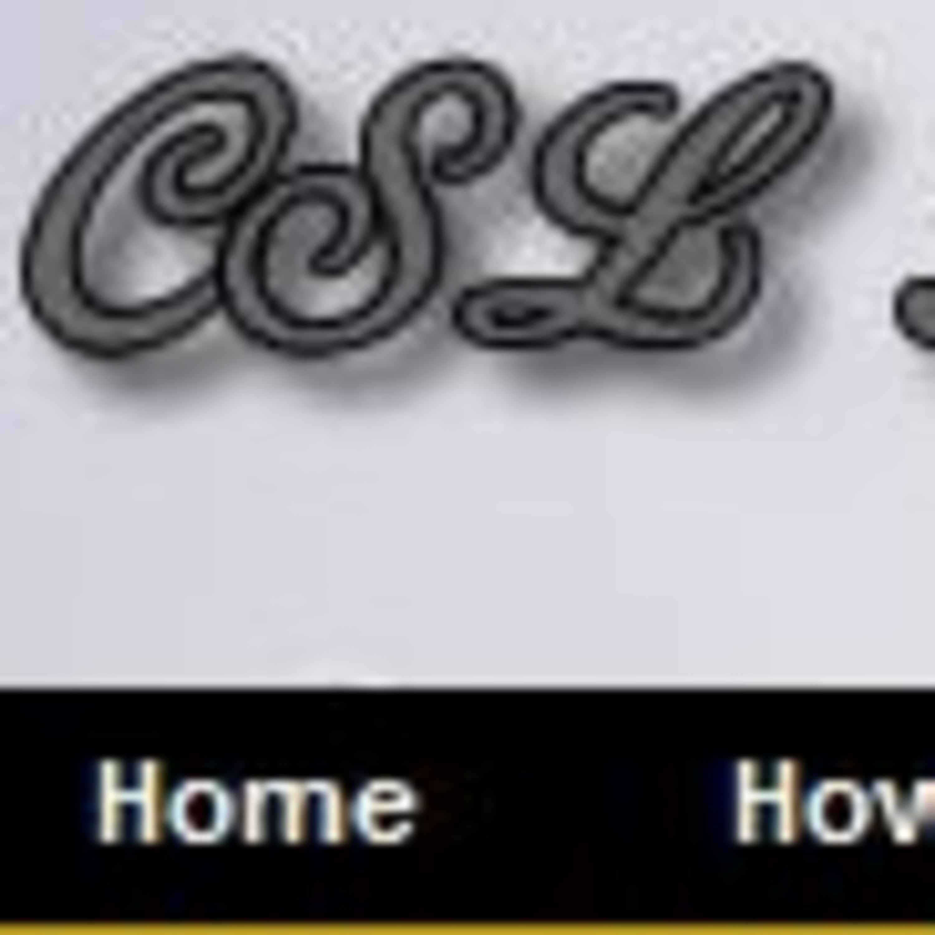 CSL Book Club  (Allyson Wieland)