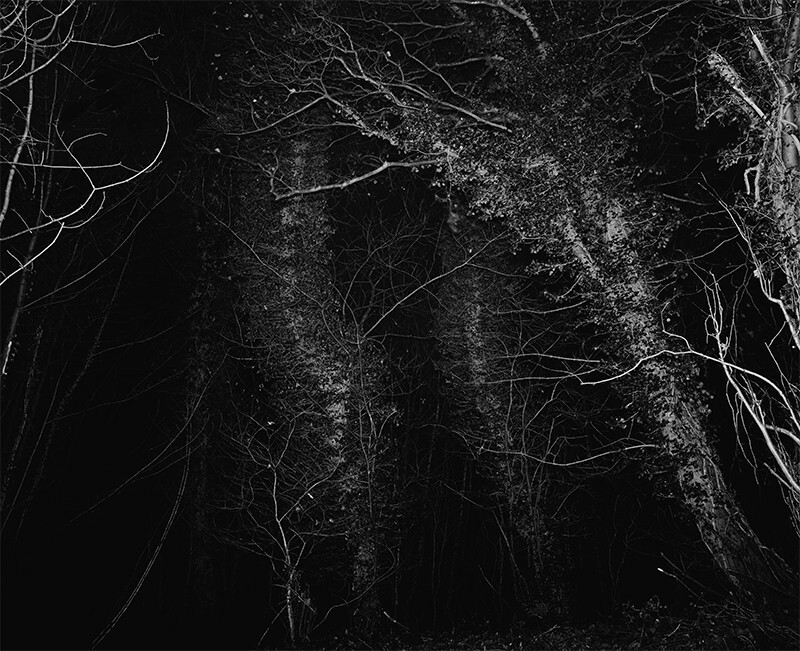 Grey Matter episode artwork