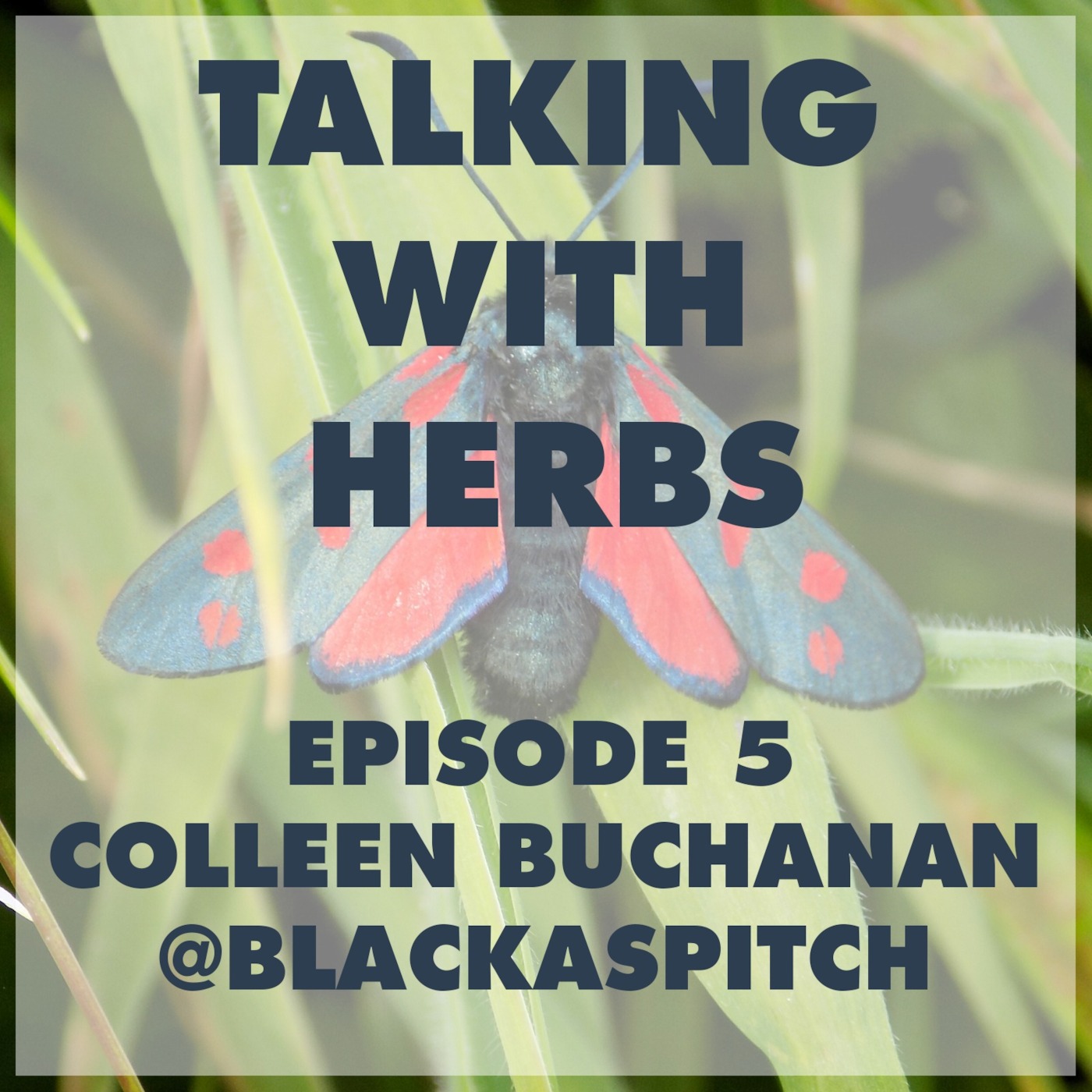Talking With Herbs - Episode 5 - Colleen Buchanan(@BlackasPitch)