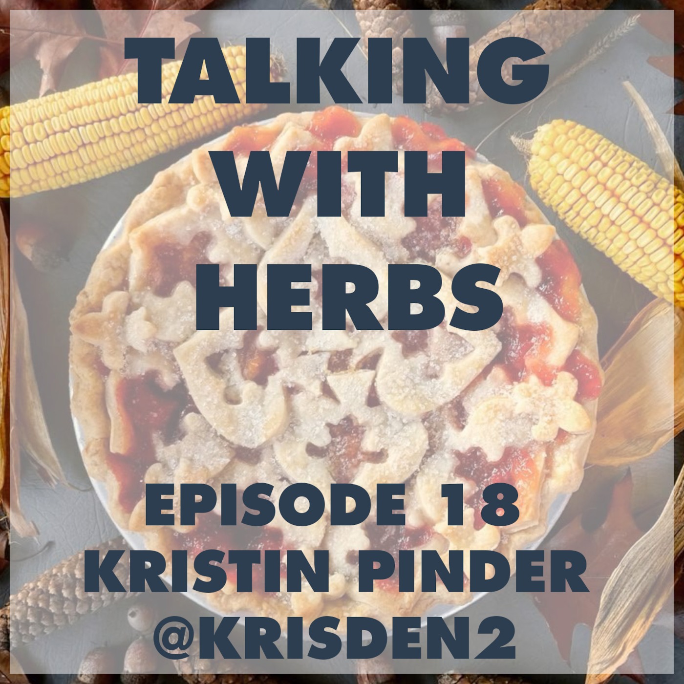 Talking With Herbs - Episode 18 - Kristin Pinder(@Krisden2)